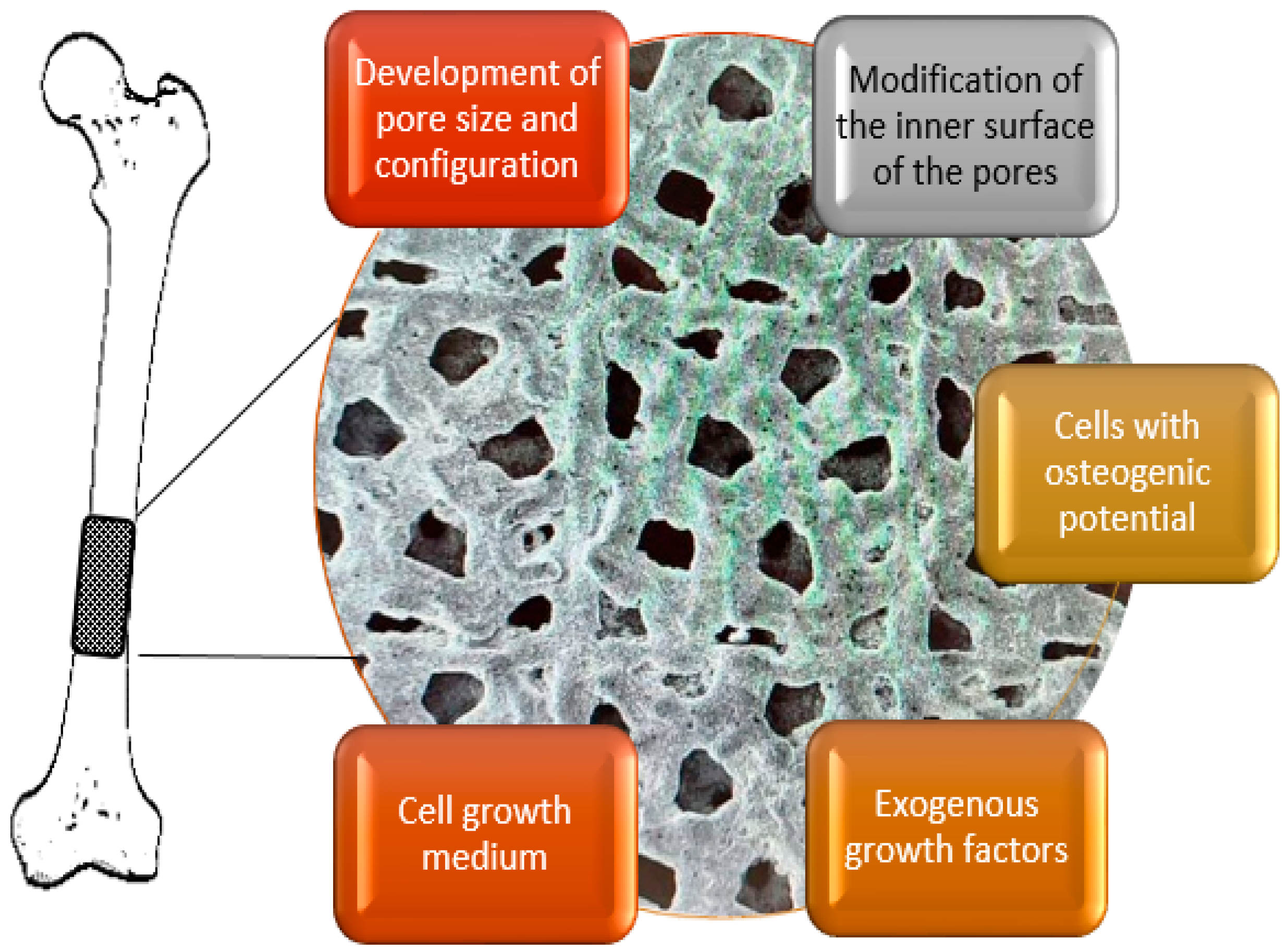 Biomimetics 08 00546 g005 Biomimetics 08 00546 g005