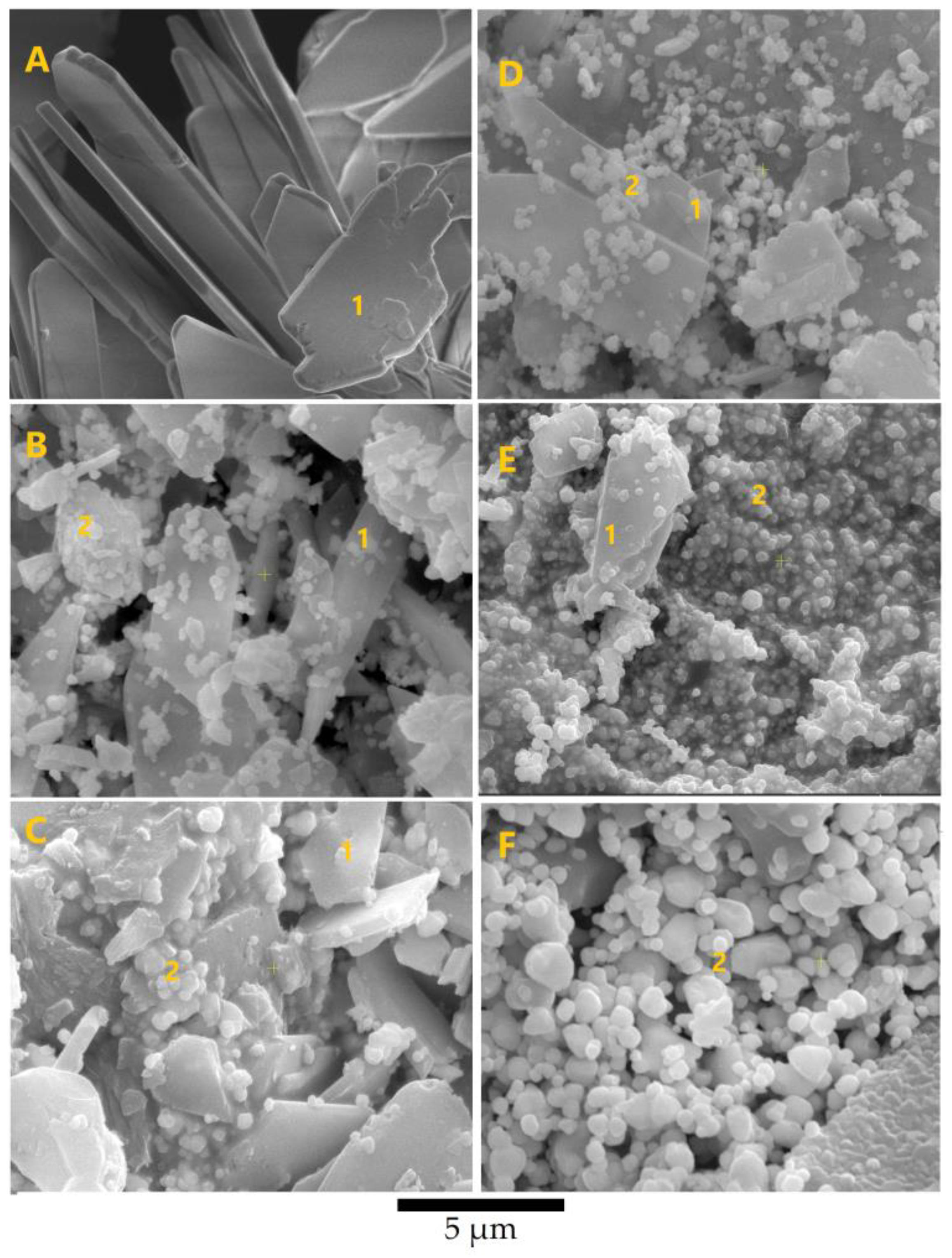 Biomimetics 08 00547 g004