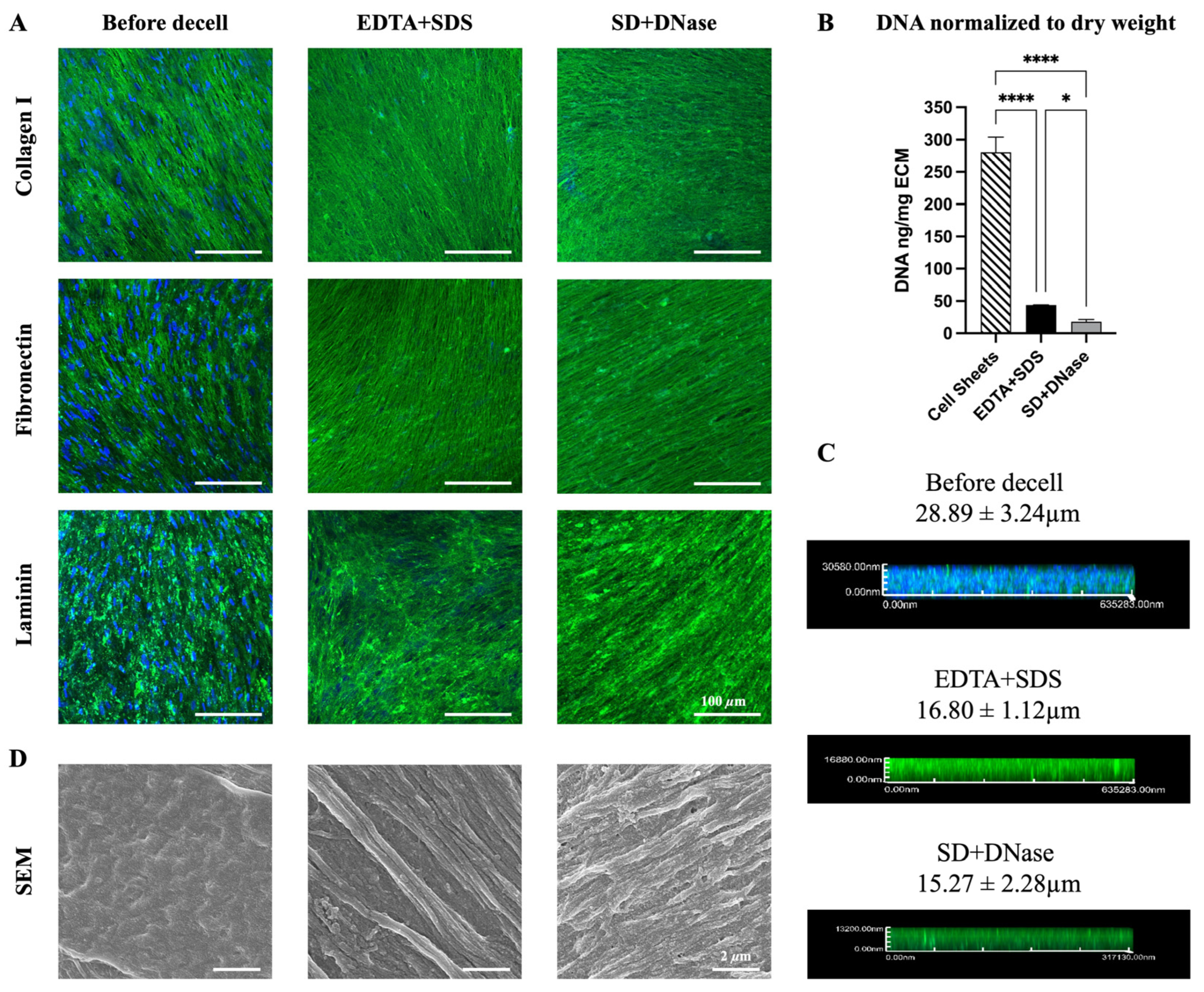 Biomimetics 08 00551 g001