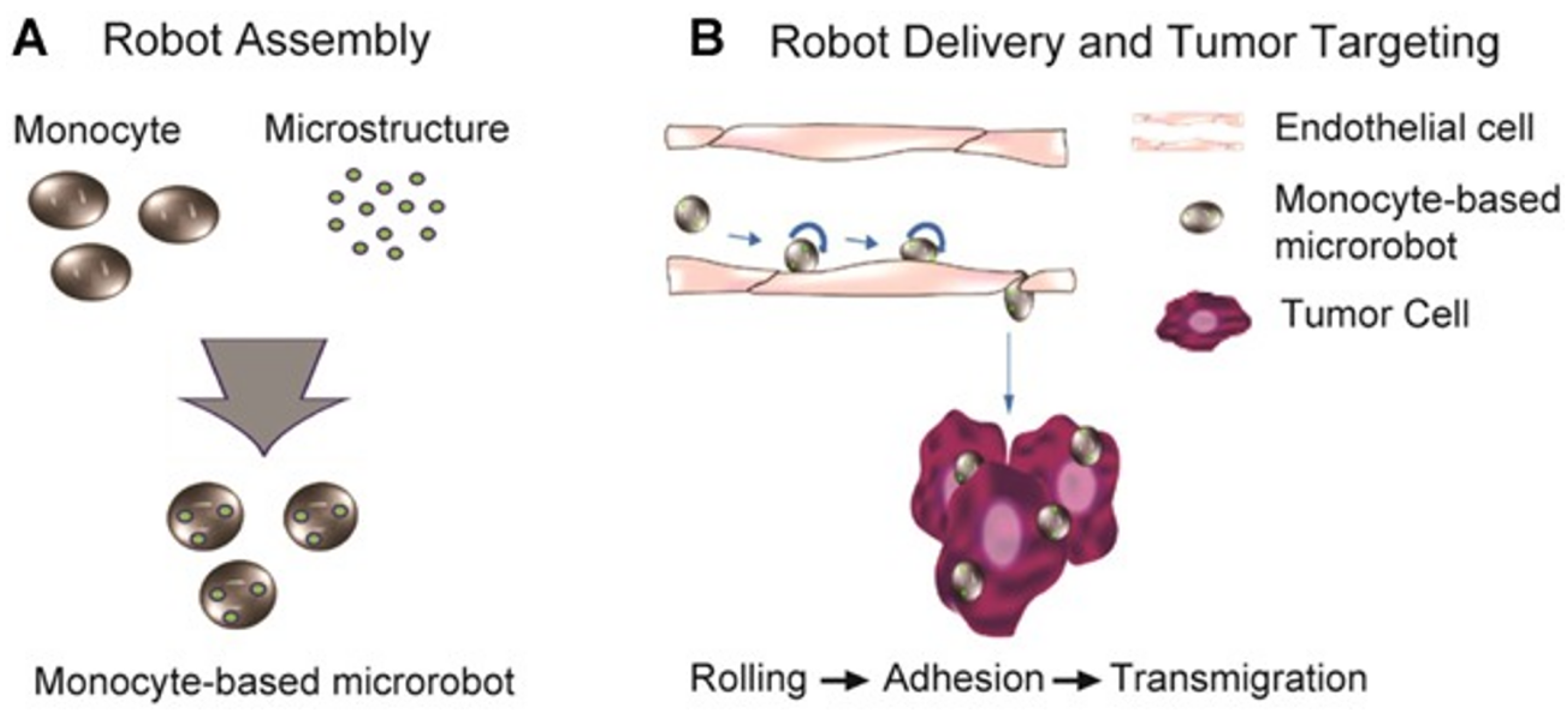 Biomimetics 08 00553 g002