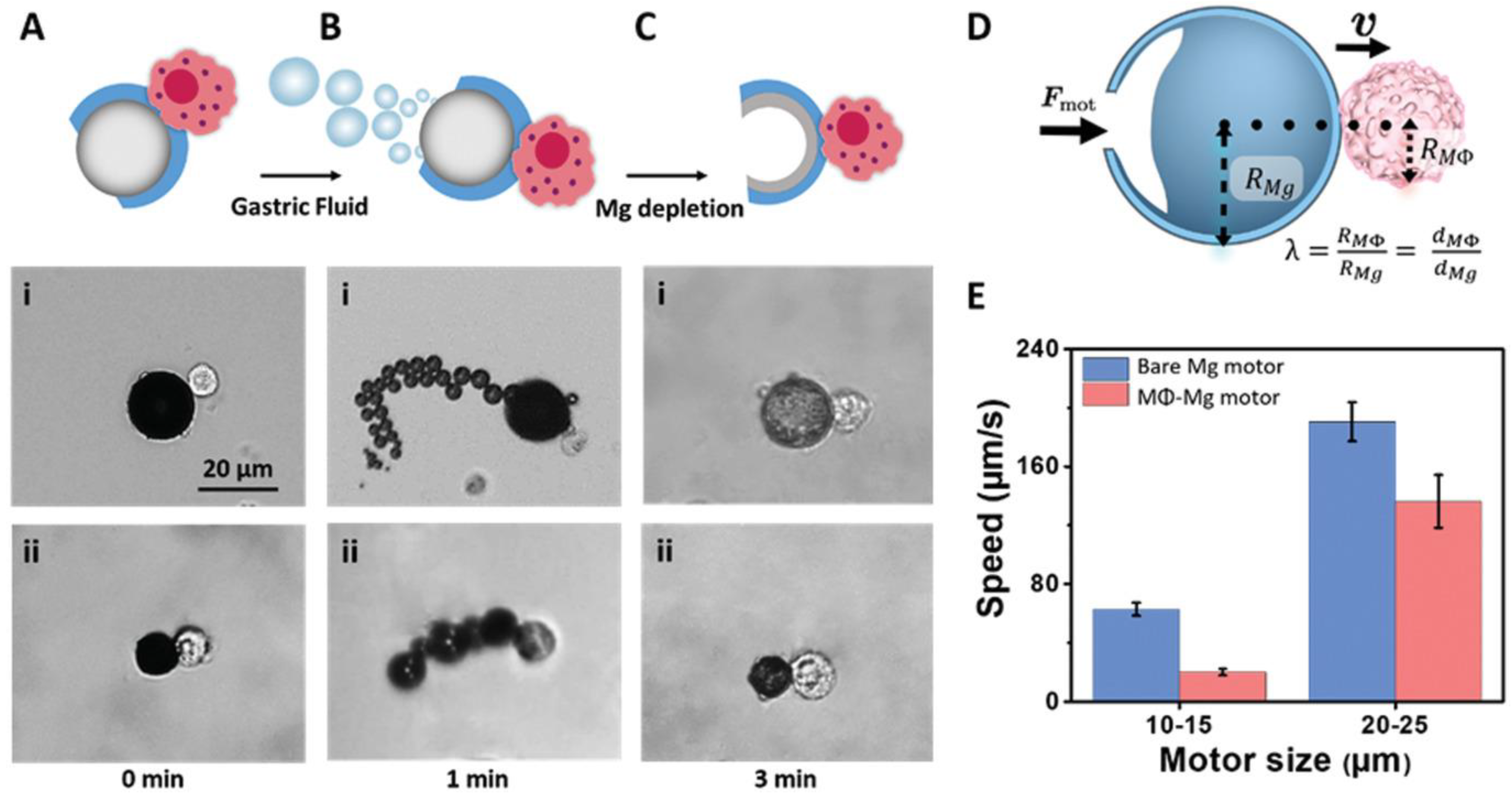 Biomimetics 08 00553 g003