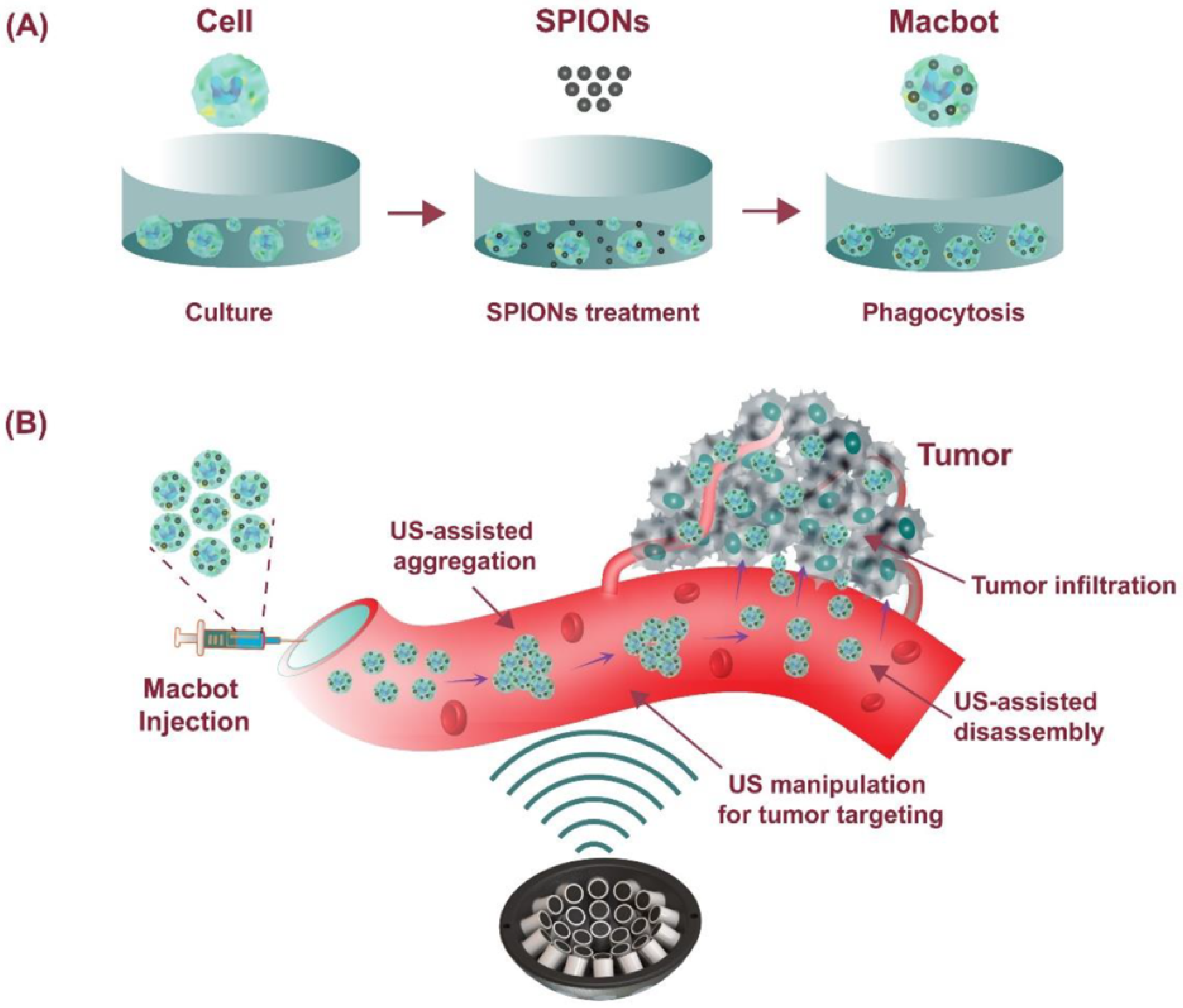 Biomimetics 08 00553 g004
