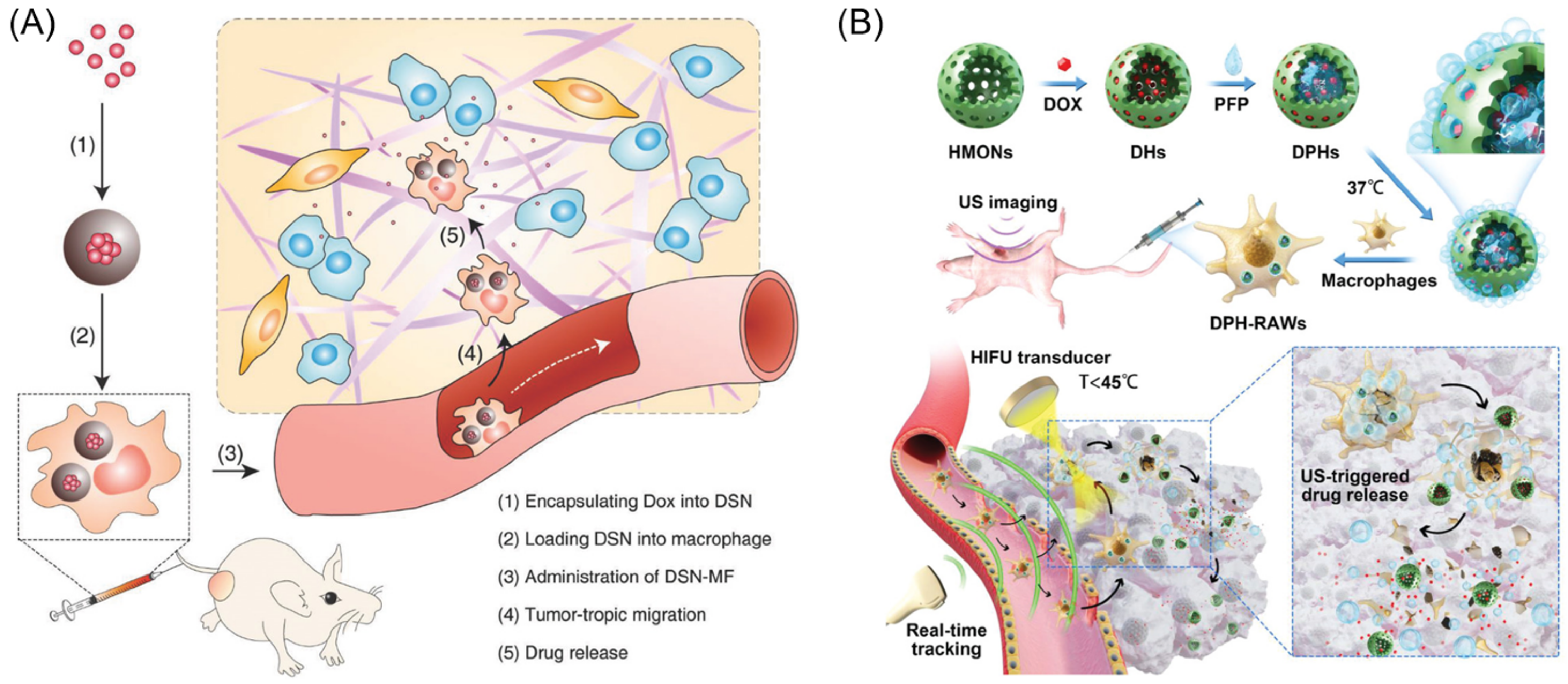 Biomimetics 08 00553 g007