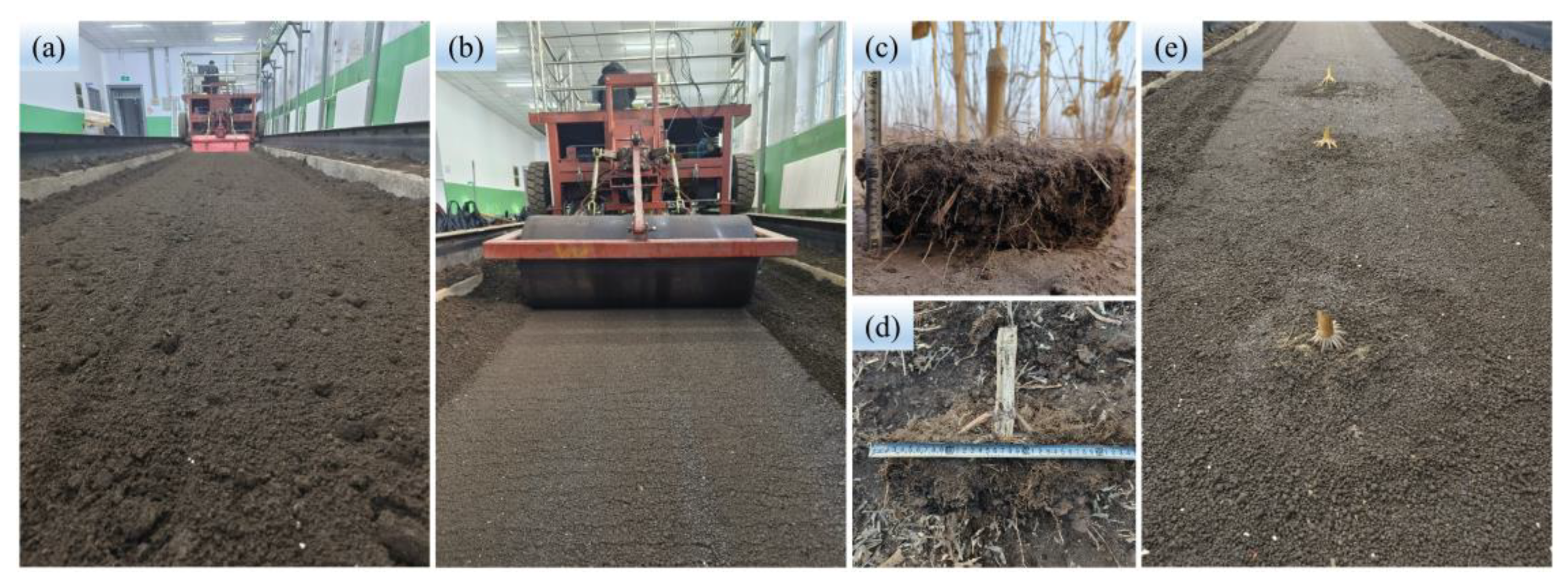 Biomimetics 08 00555 g005 Biomimetics 08 00555 g005