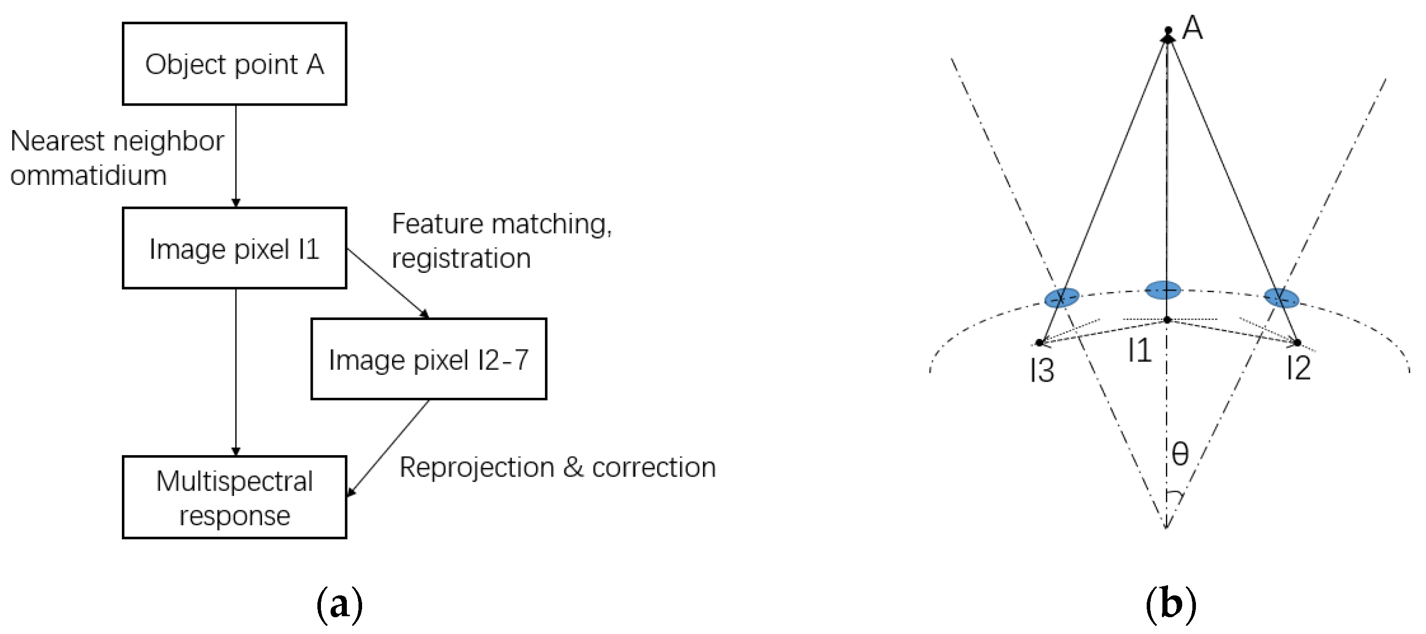 Biomimetics 08 00556 g008