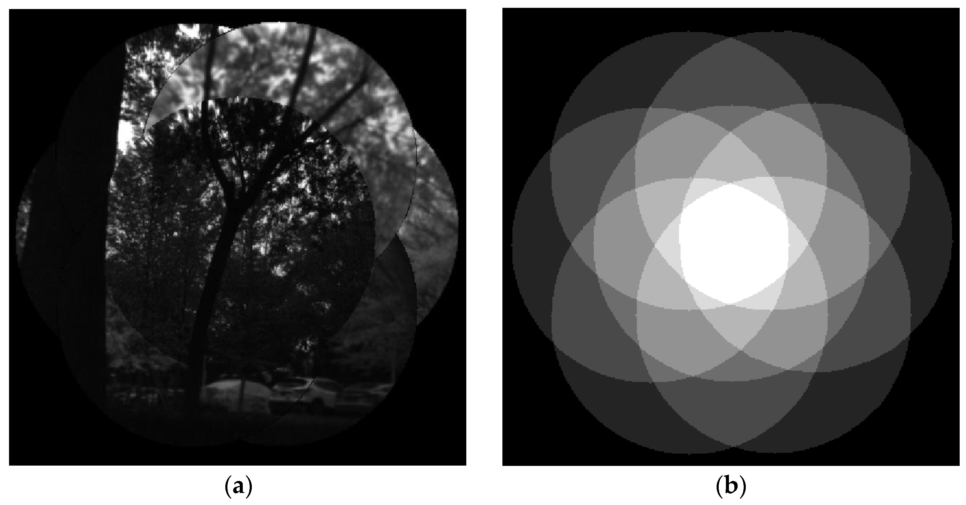 Biomimetics 08 00556 g009