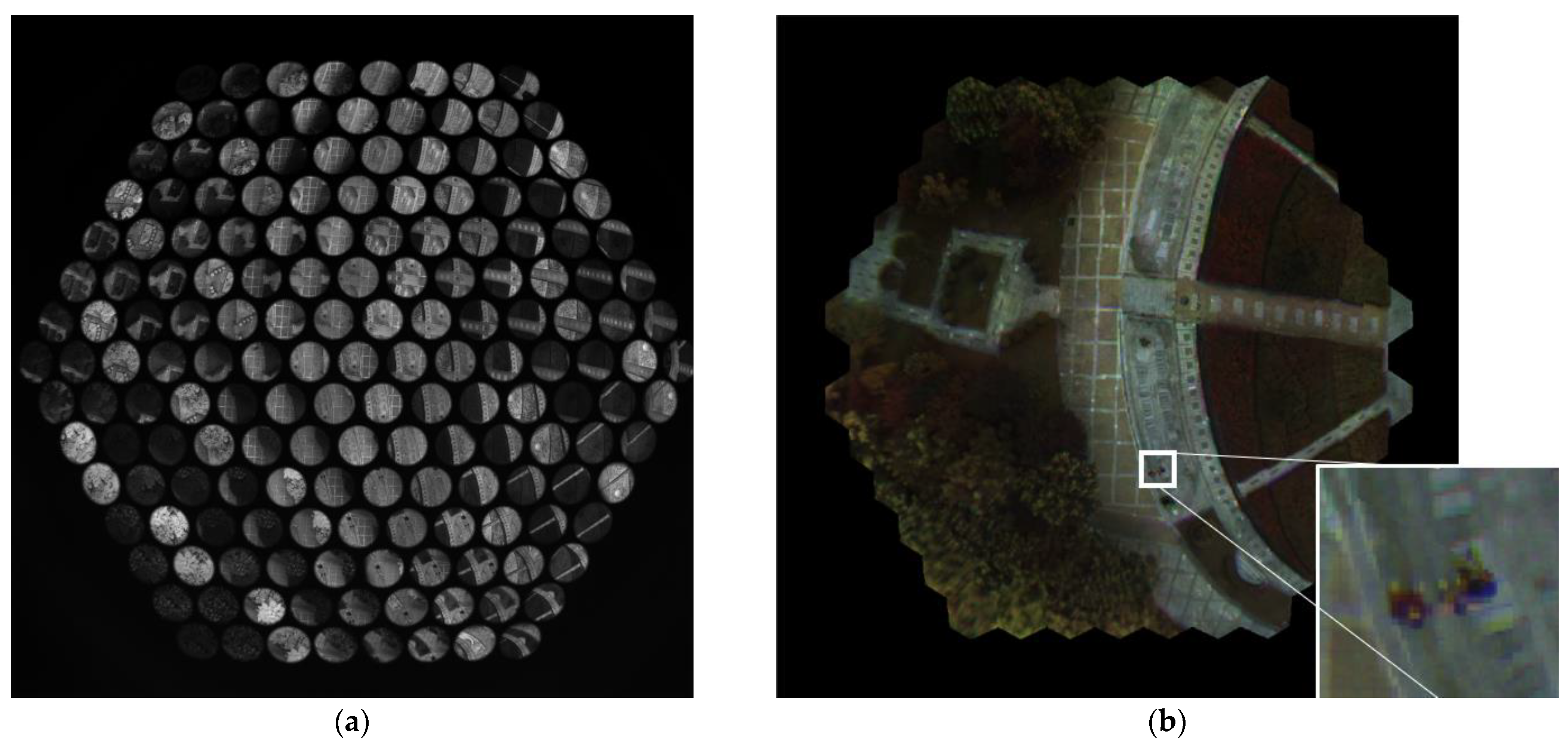 Biomimetics 08 00556 g015a