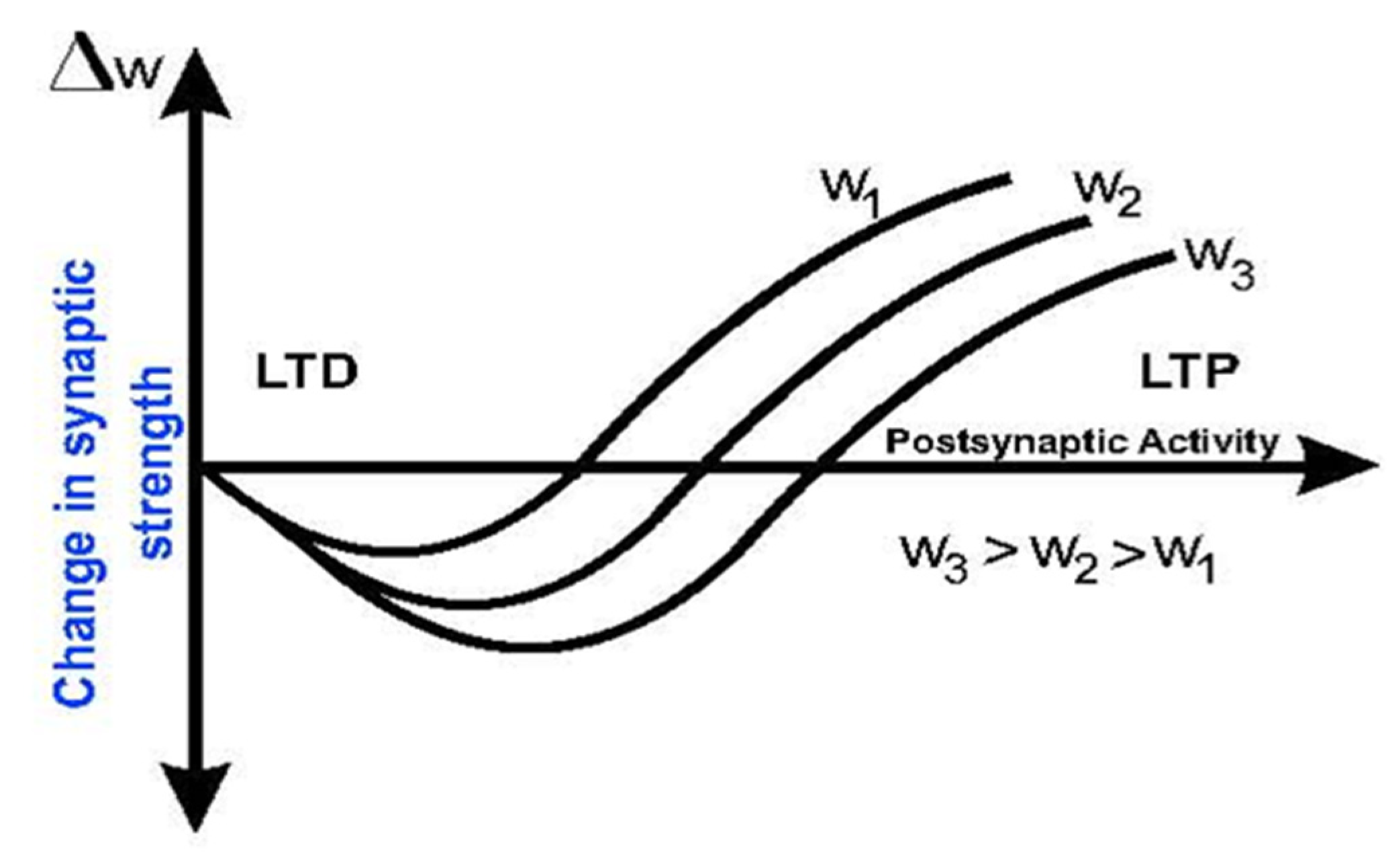 Biomimetics 08 00564 g002