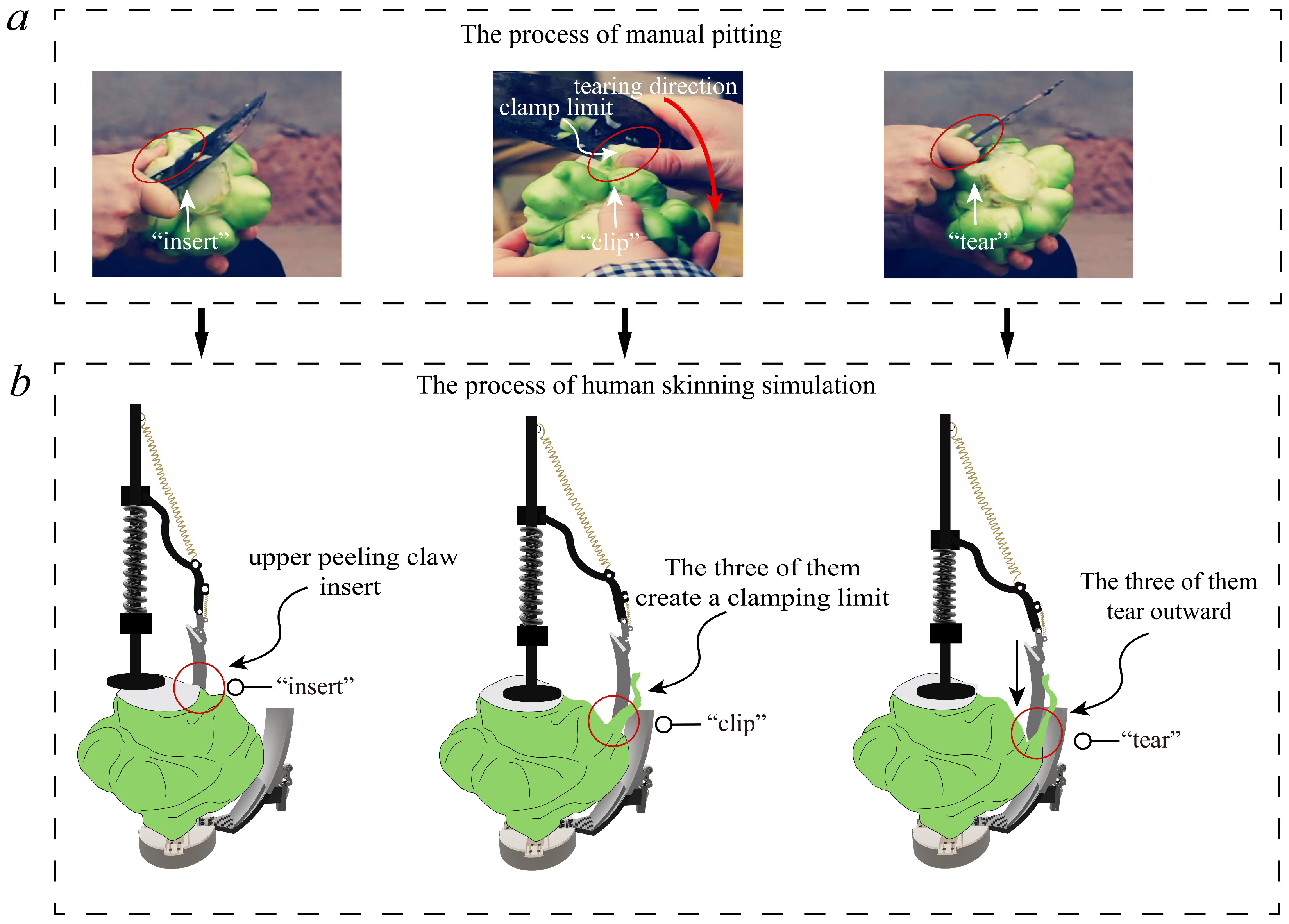 Biomimetics 08 00566 g001