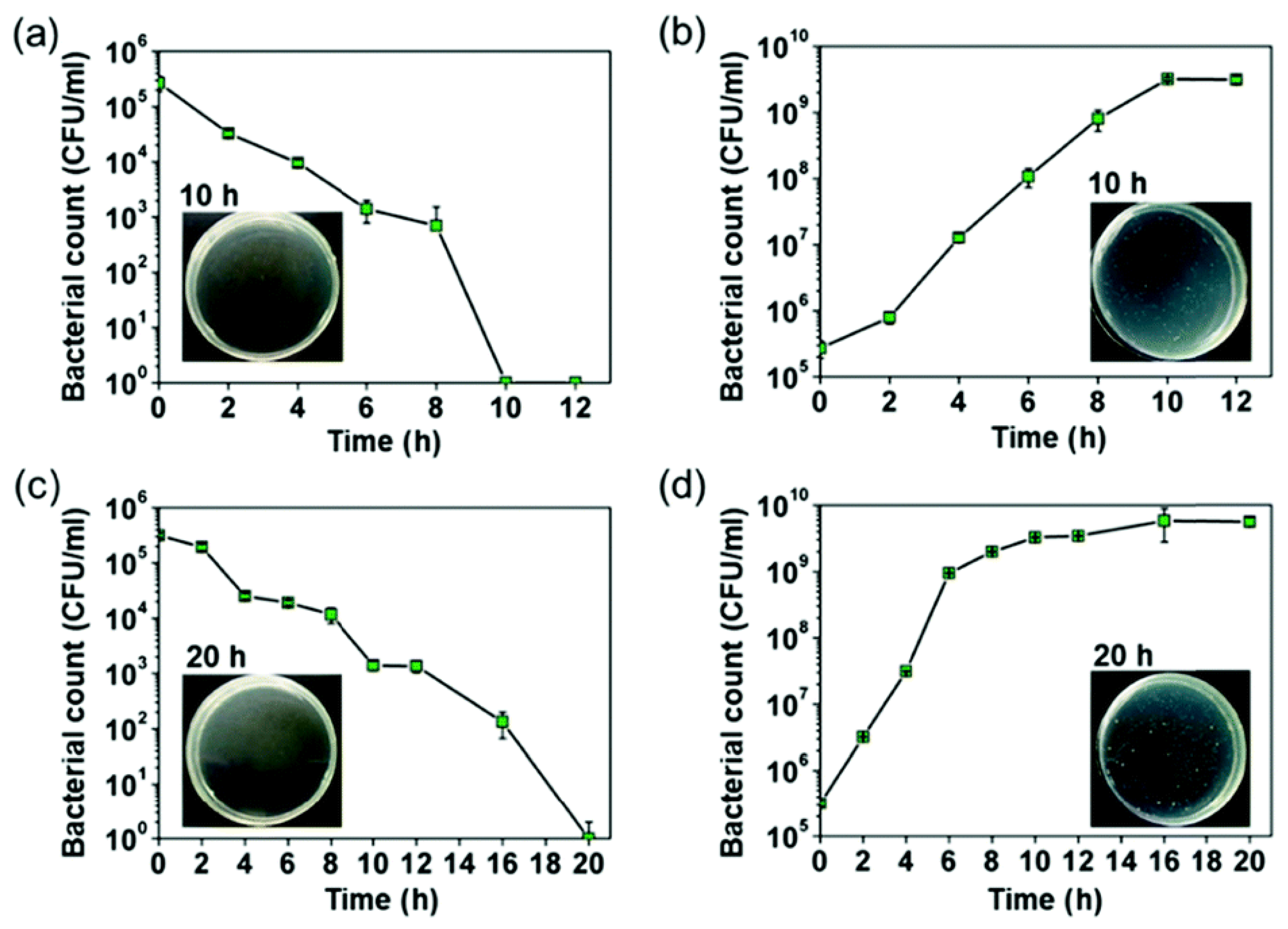 Biomimetics 08 00573 g007