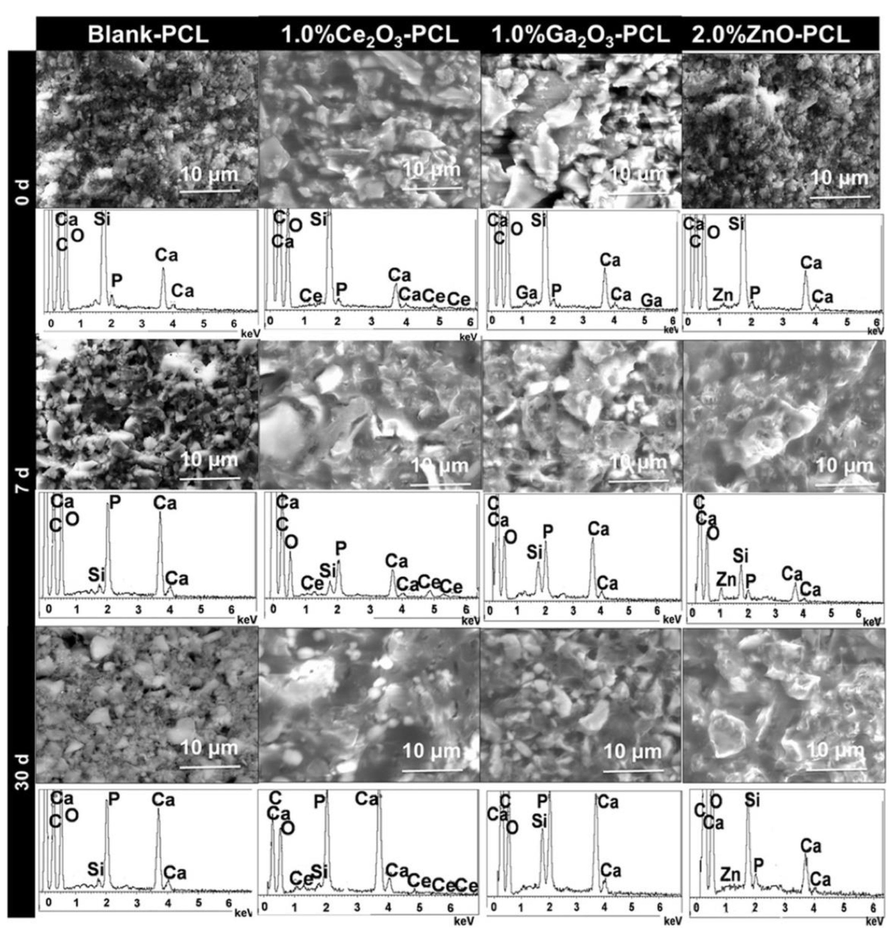 Biomimetics 08 00573 g010