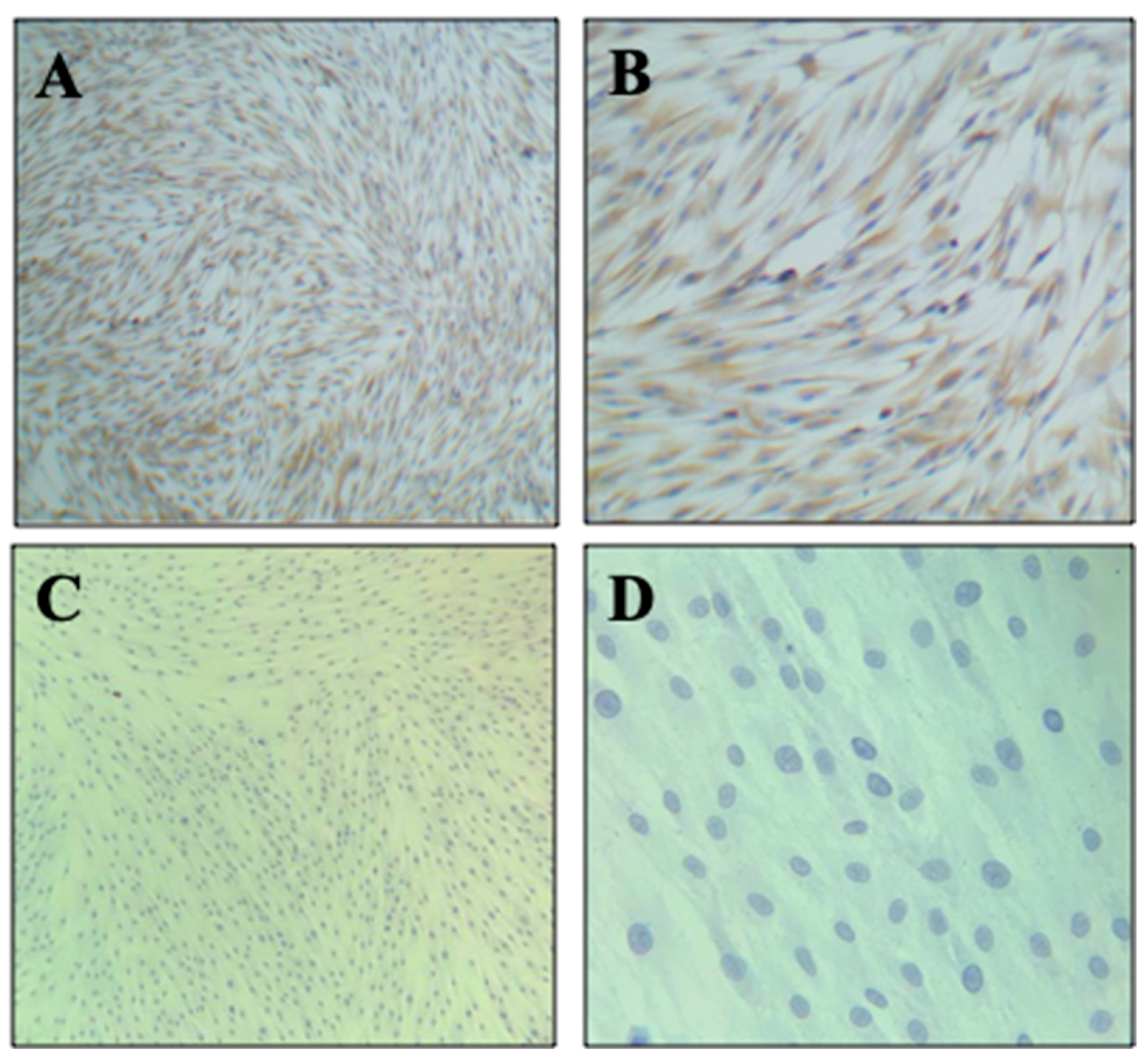 Biomimetics 08 00575 g004