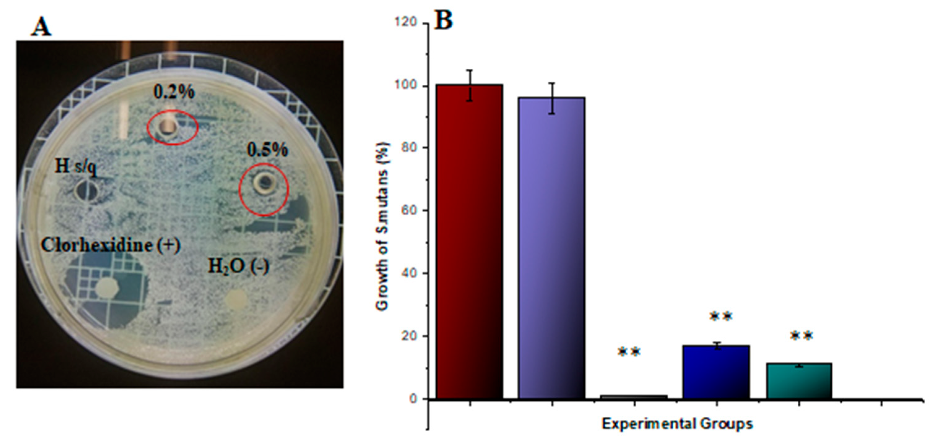 Biomimetics 08 00575 g006