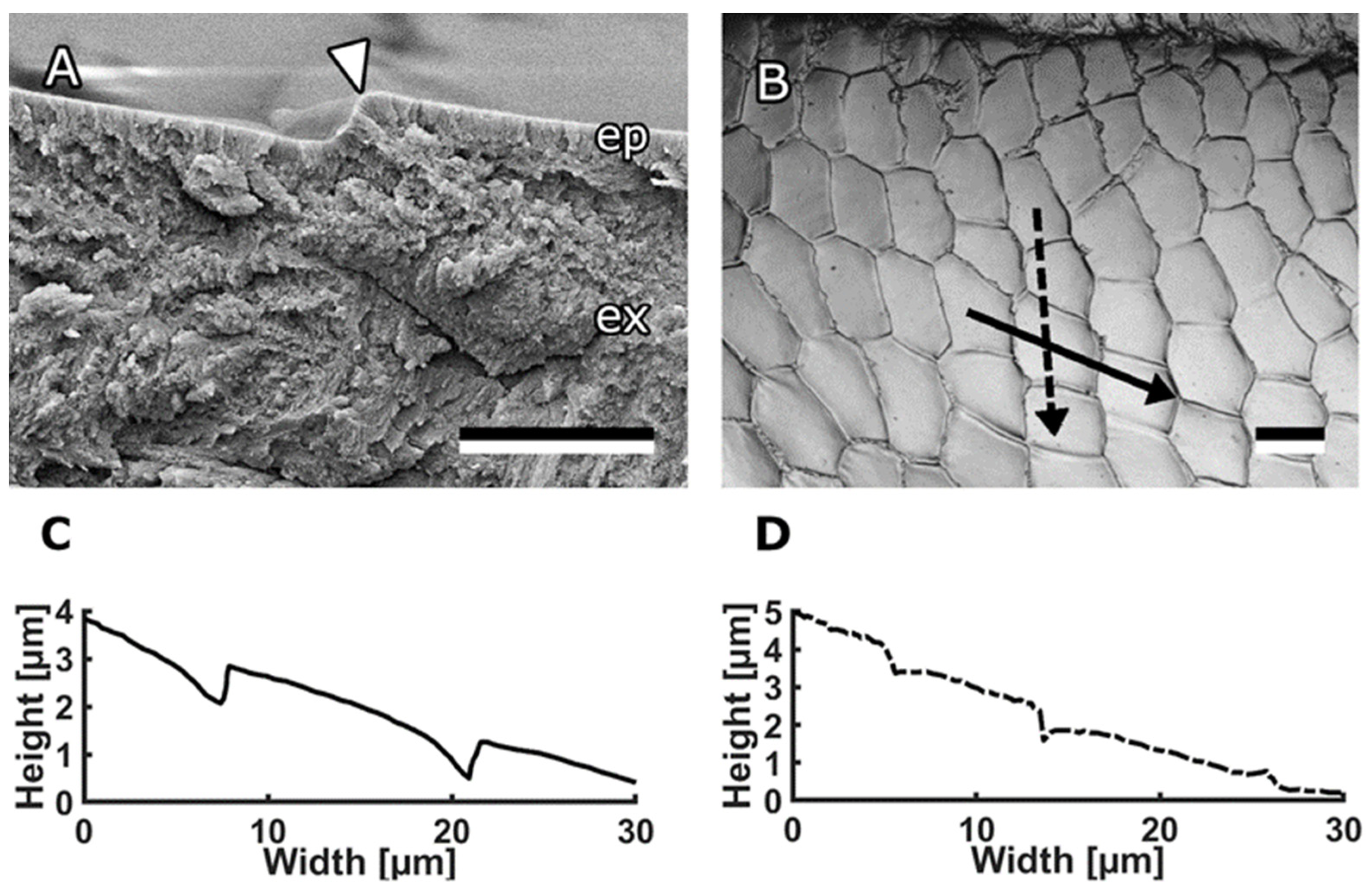 Biomimetics 08 00579 g002