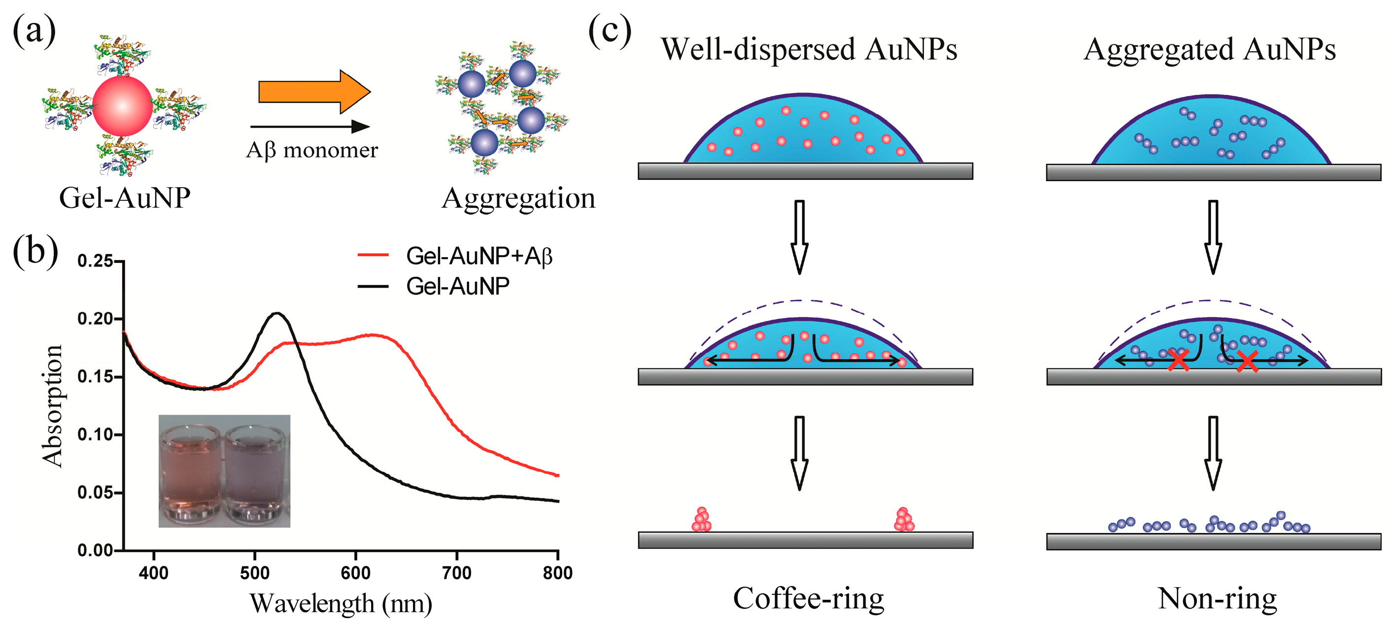 Biomimetics 08 00581 g001