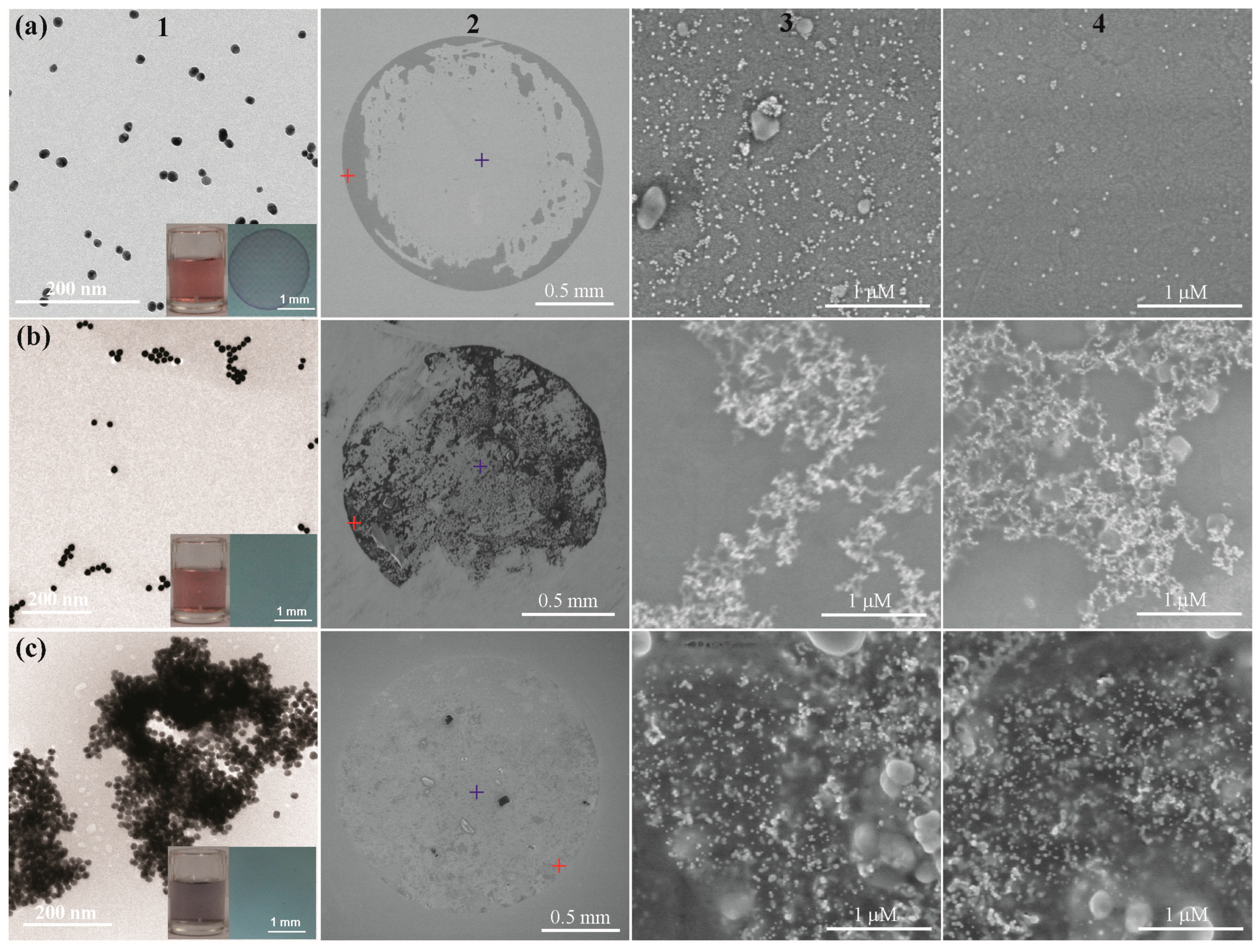 Biomimetics 08 00581 g003