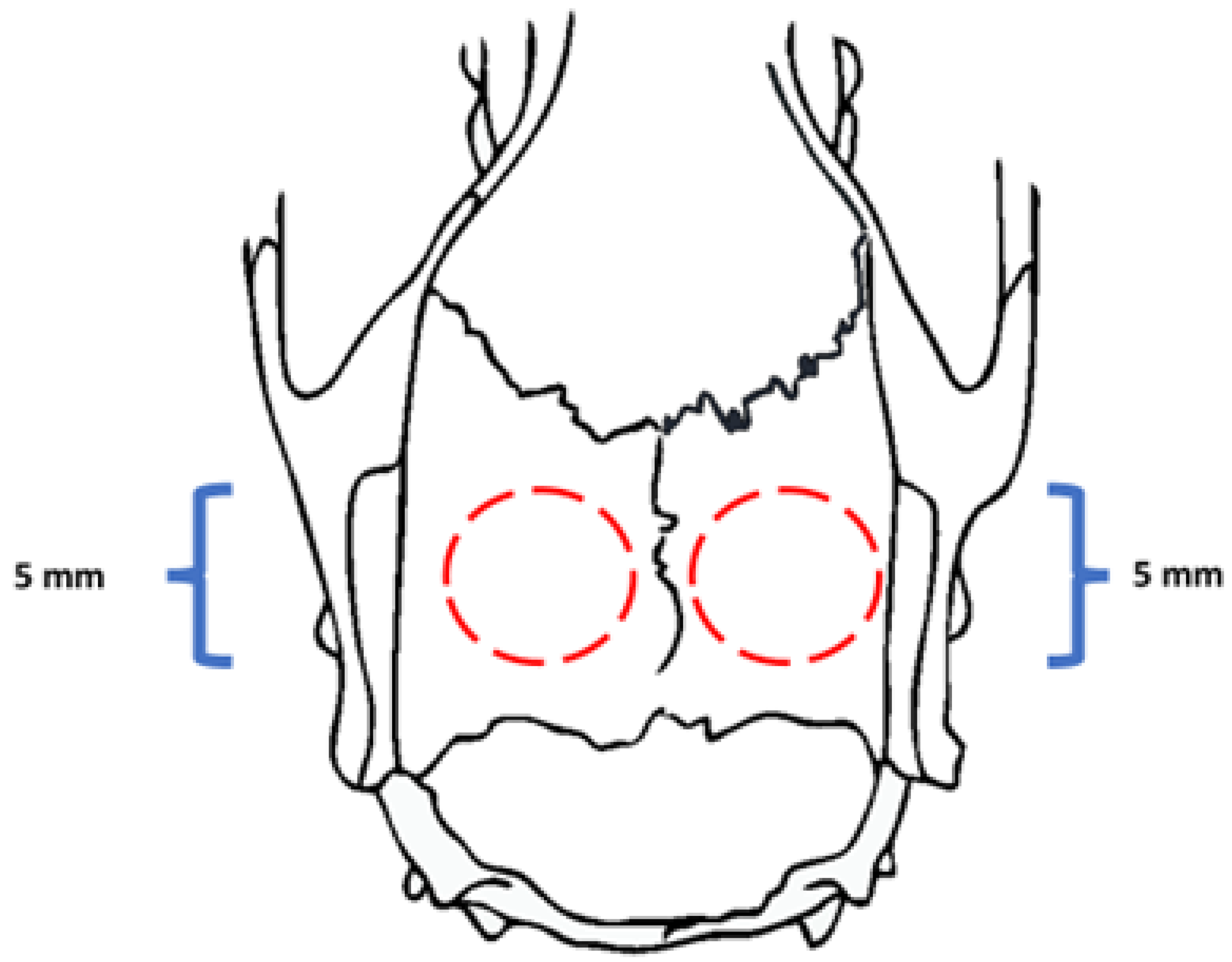 Biomimetics 08 00582 g002