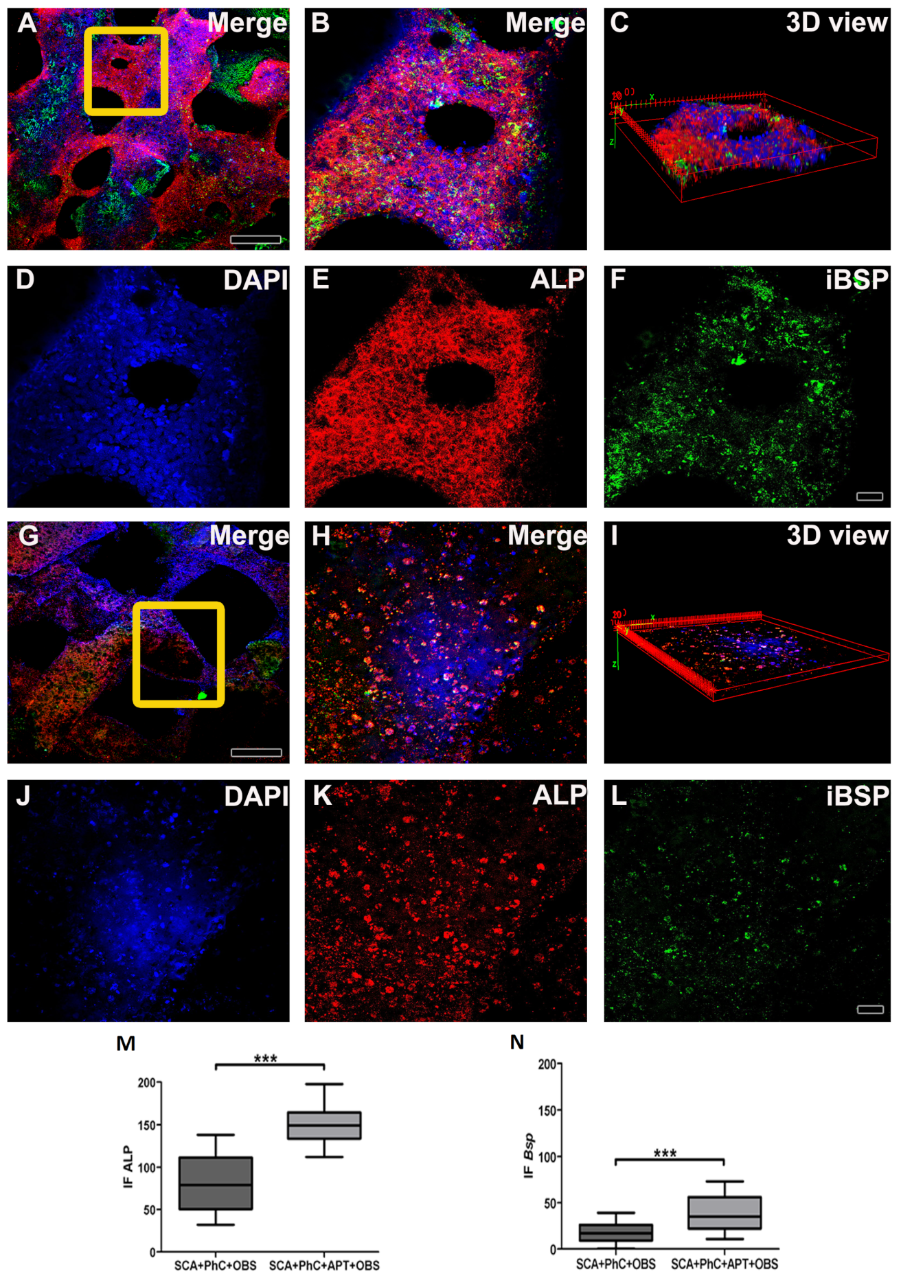 Biomimetics 08 00582 g005