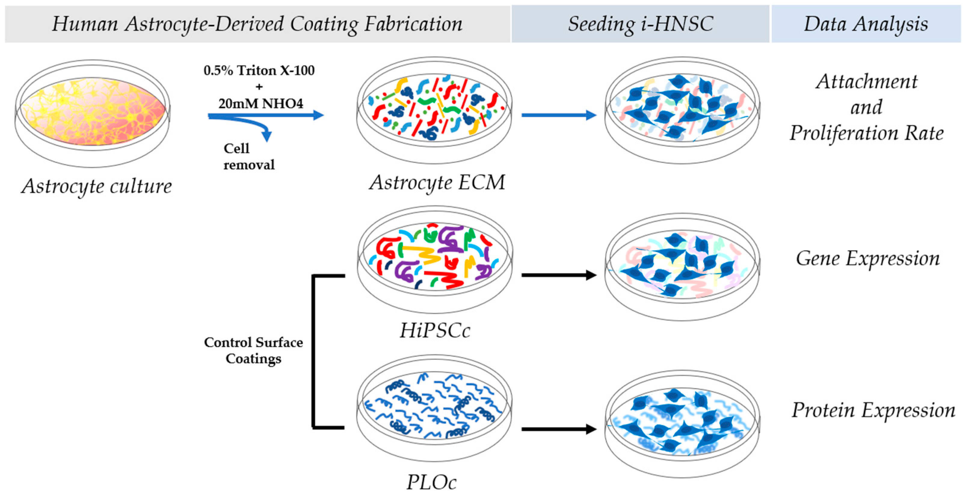Biomimetics 08 00589 g001