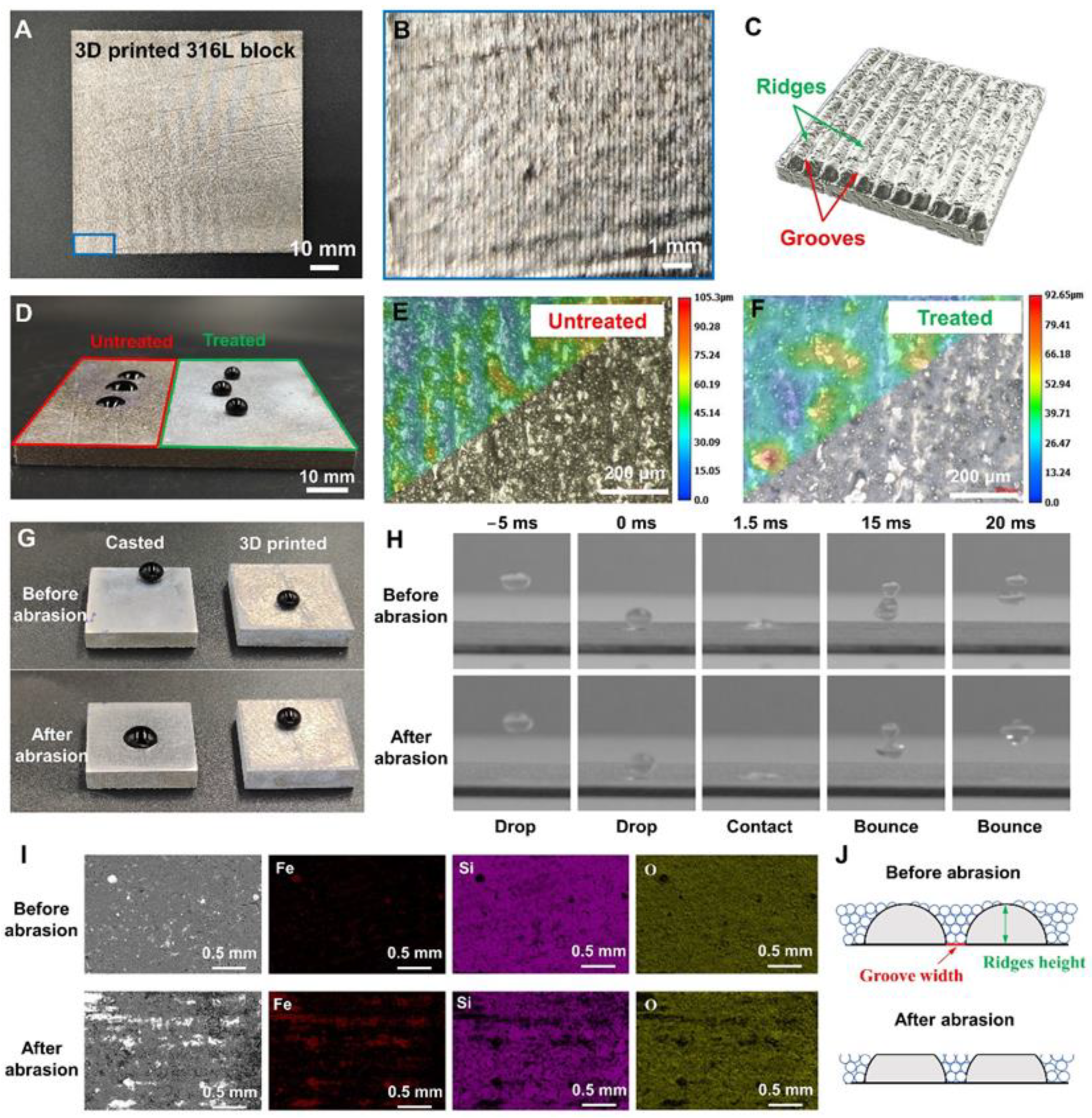 Biomimetics 08 00598 g002