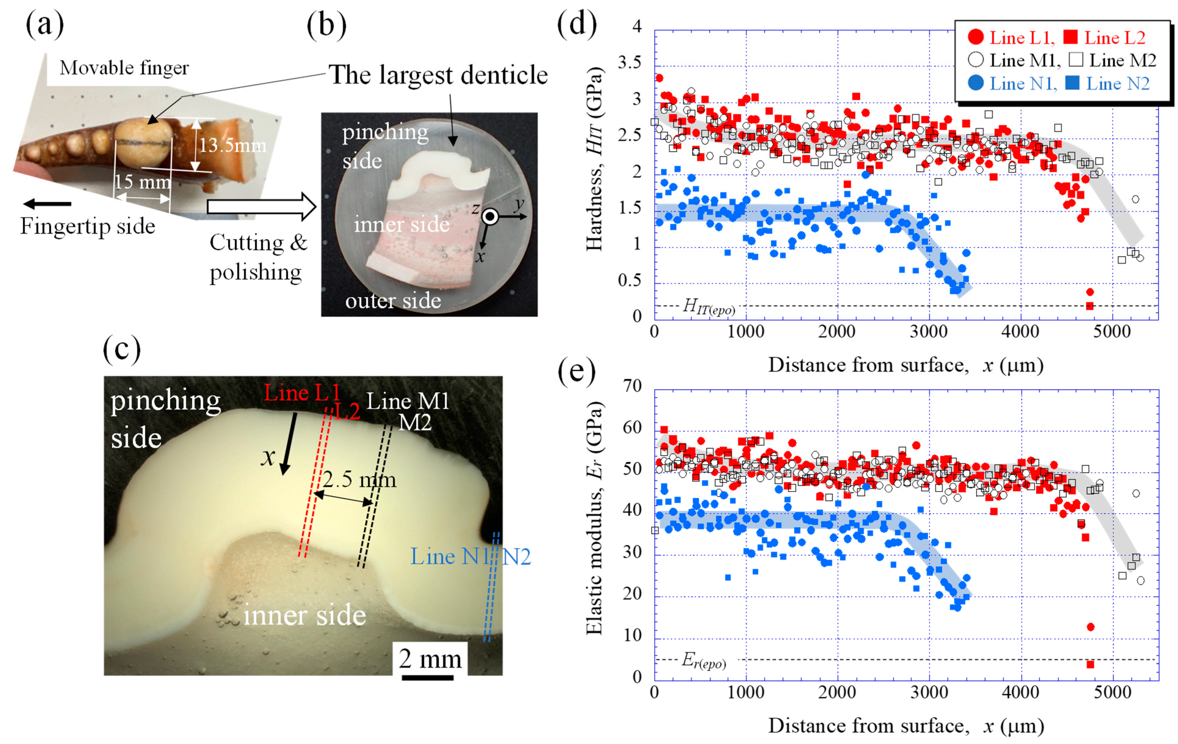 Biomimetics 08 00602 g002