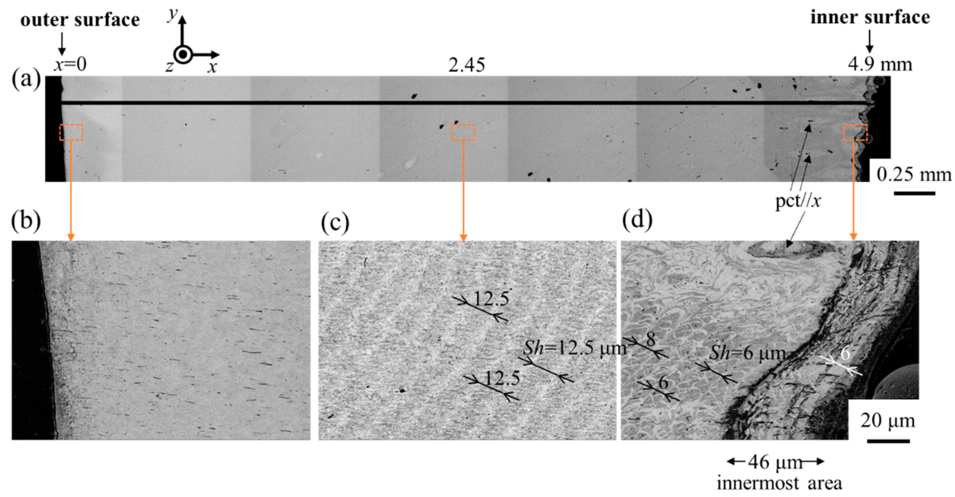 Biomimetics 08 00602 g003