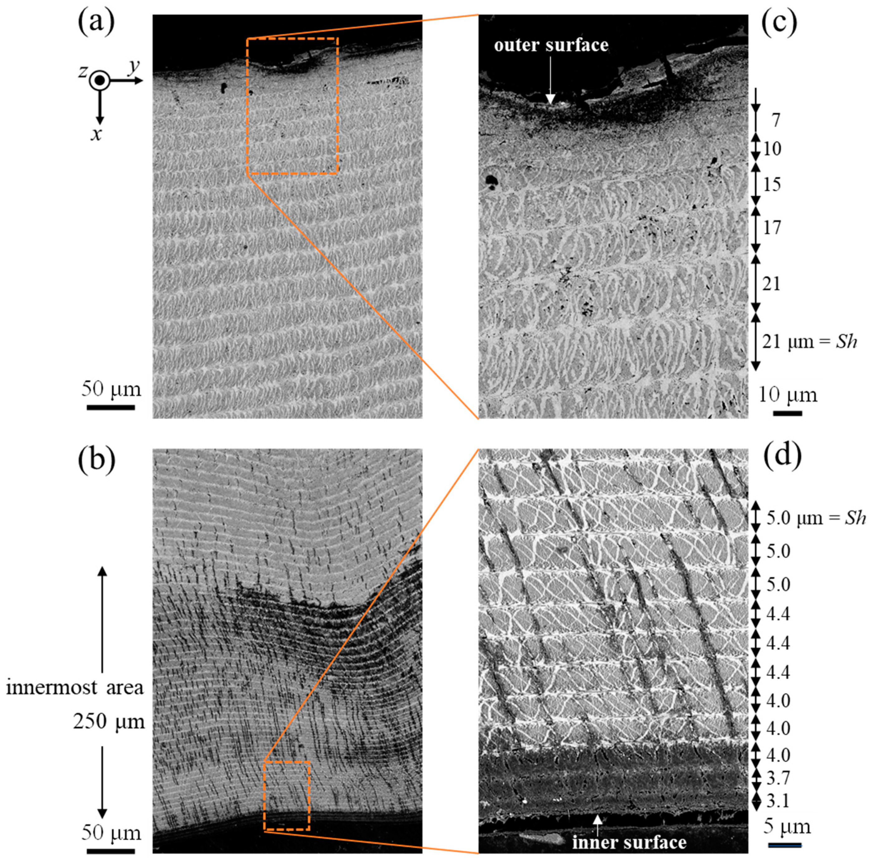 Biomimetics 08 00602 g004