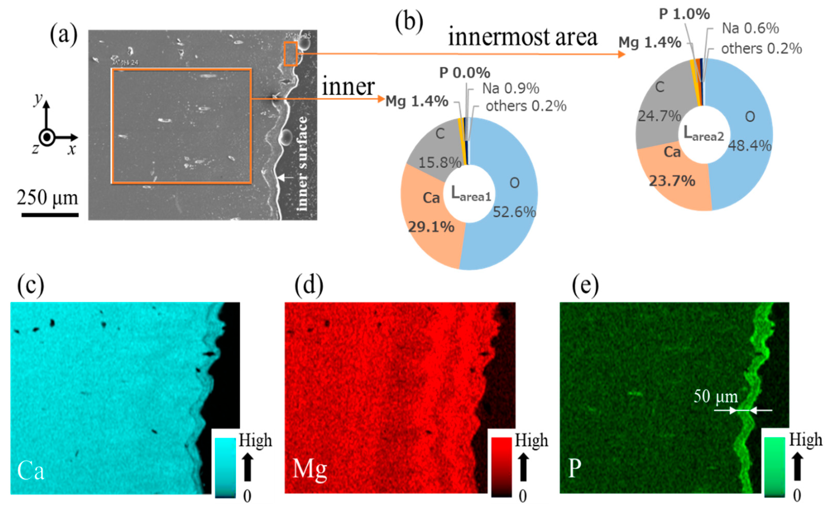 Biomimetics 08 00602 g005