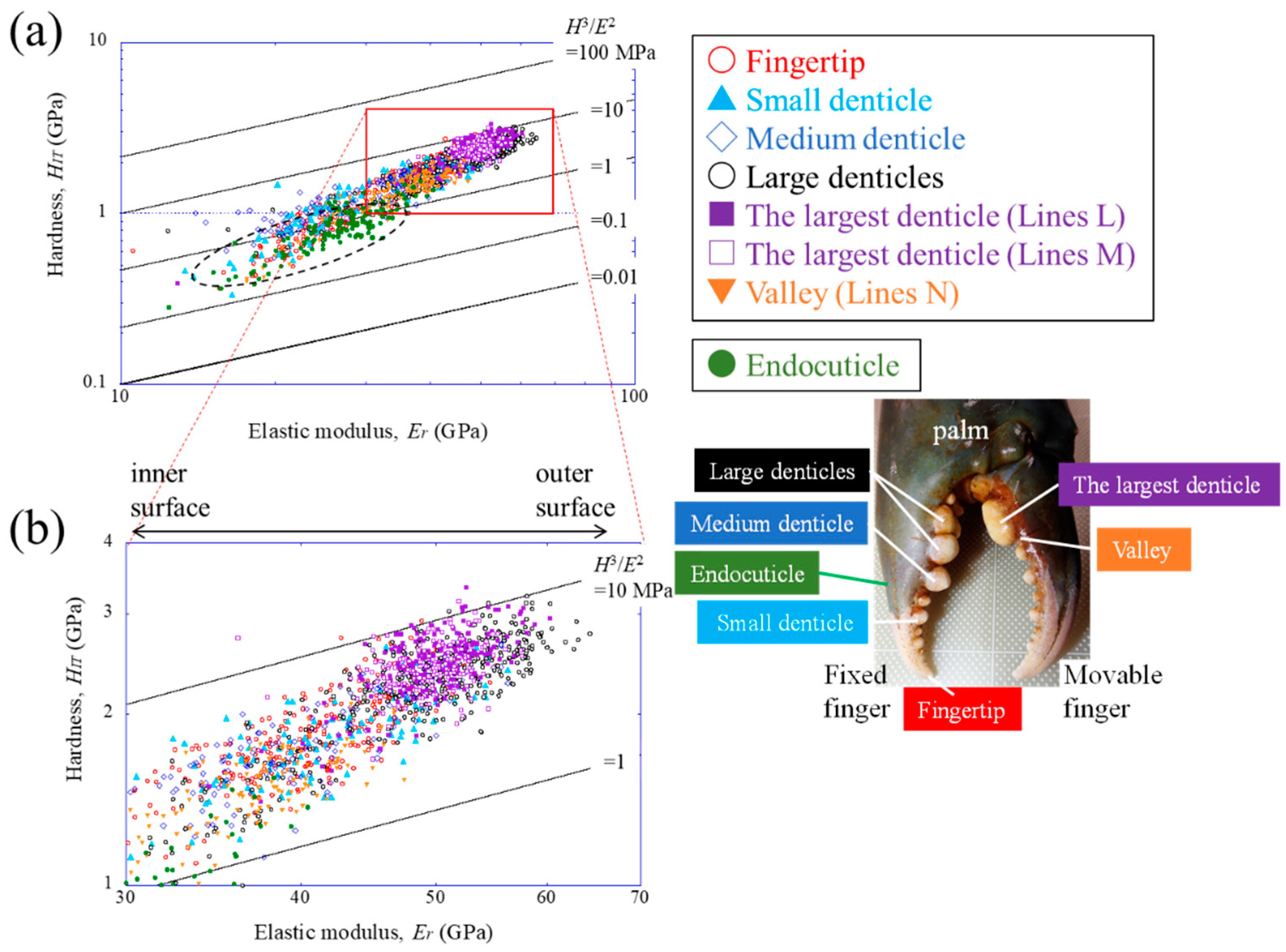 Biomimetics 08 00602 g008