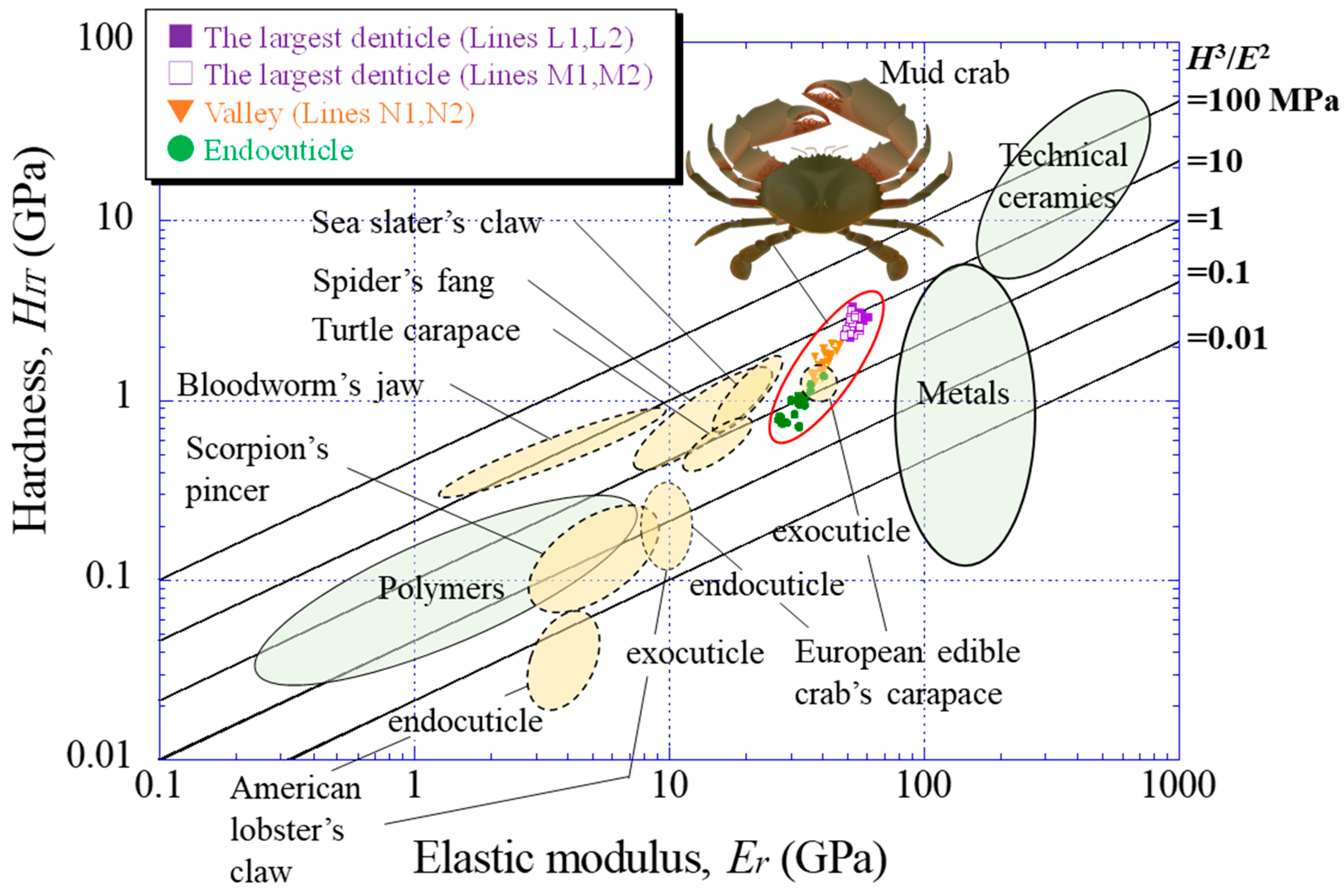 Biomimetics 08 00602 g009