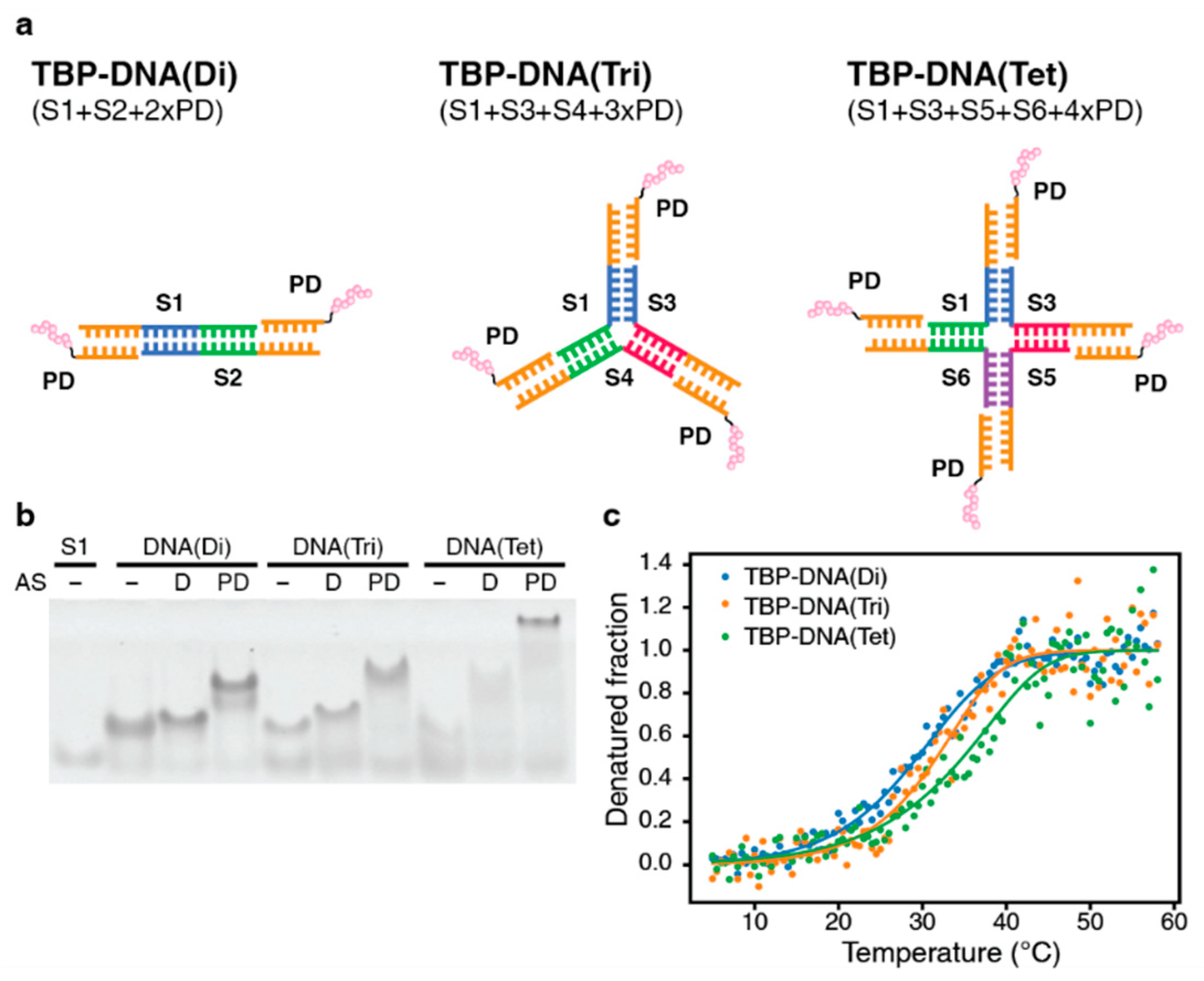 Biomimetics 08 00606 g002