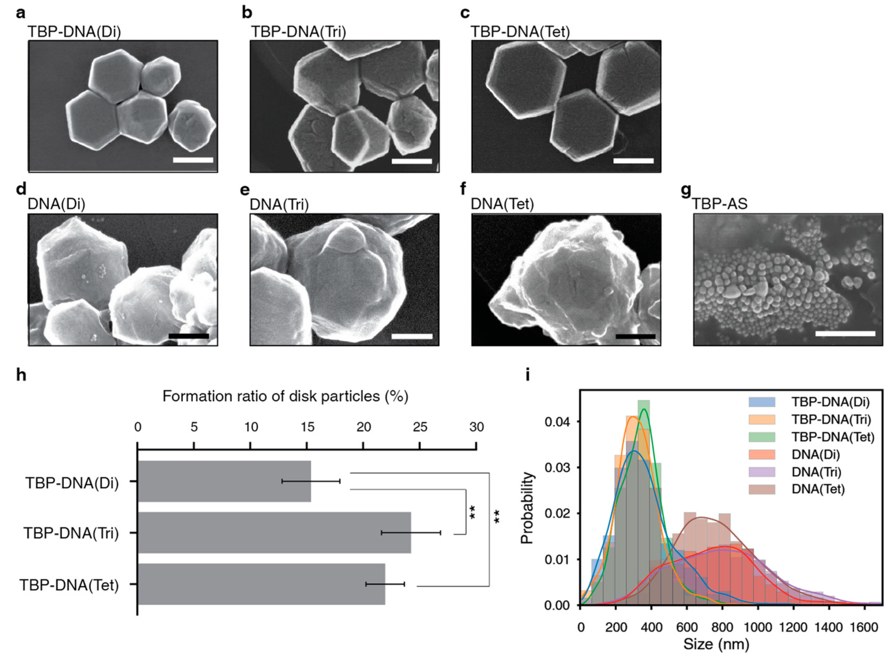 Biomimetics 08 00606 g004