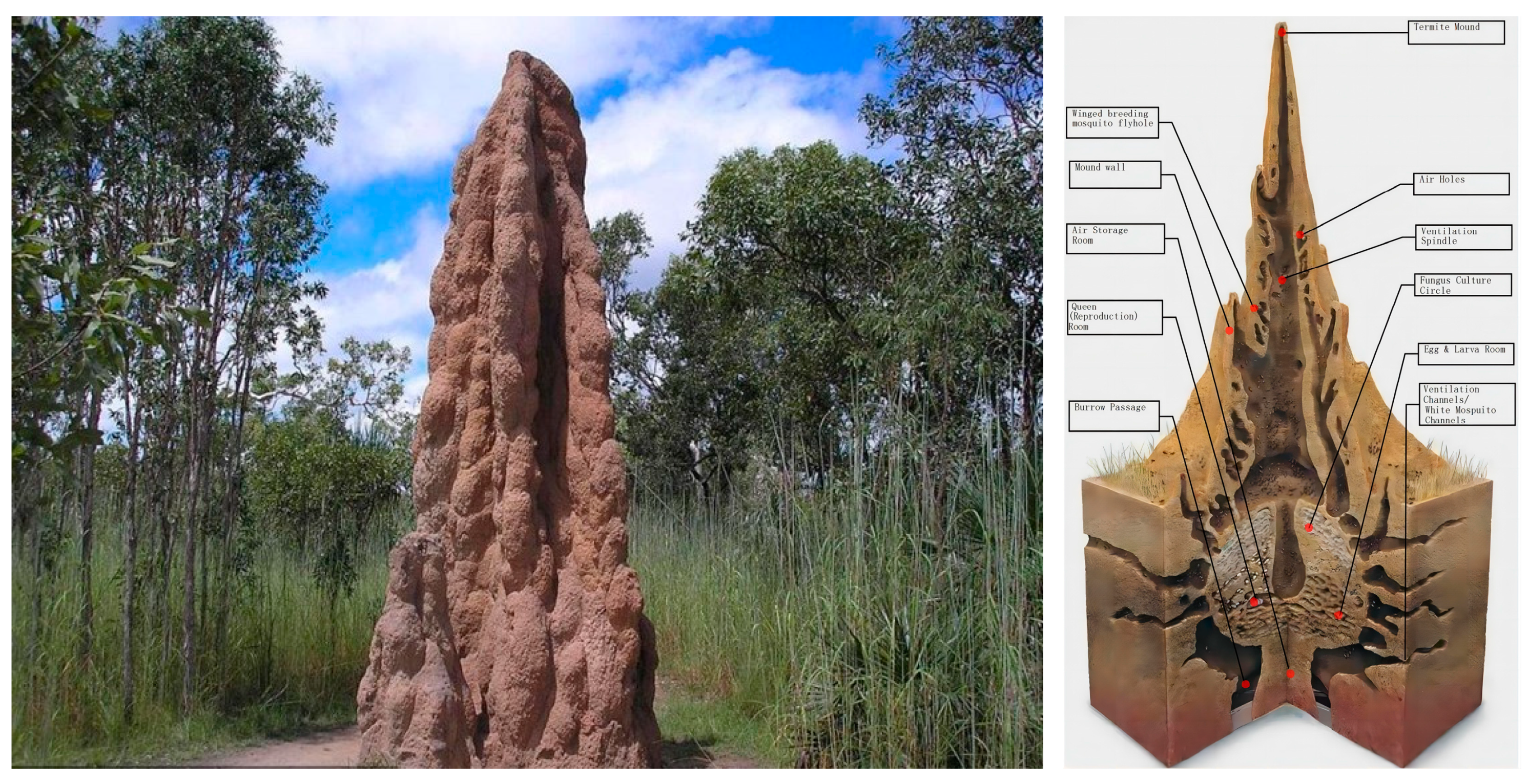 Biomimetics 08 00607 g001