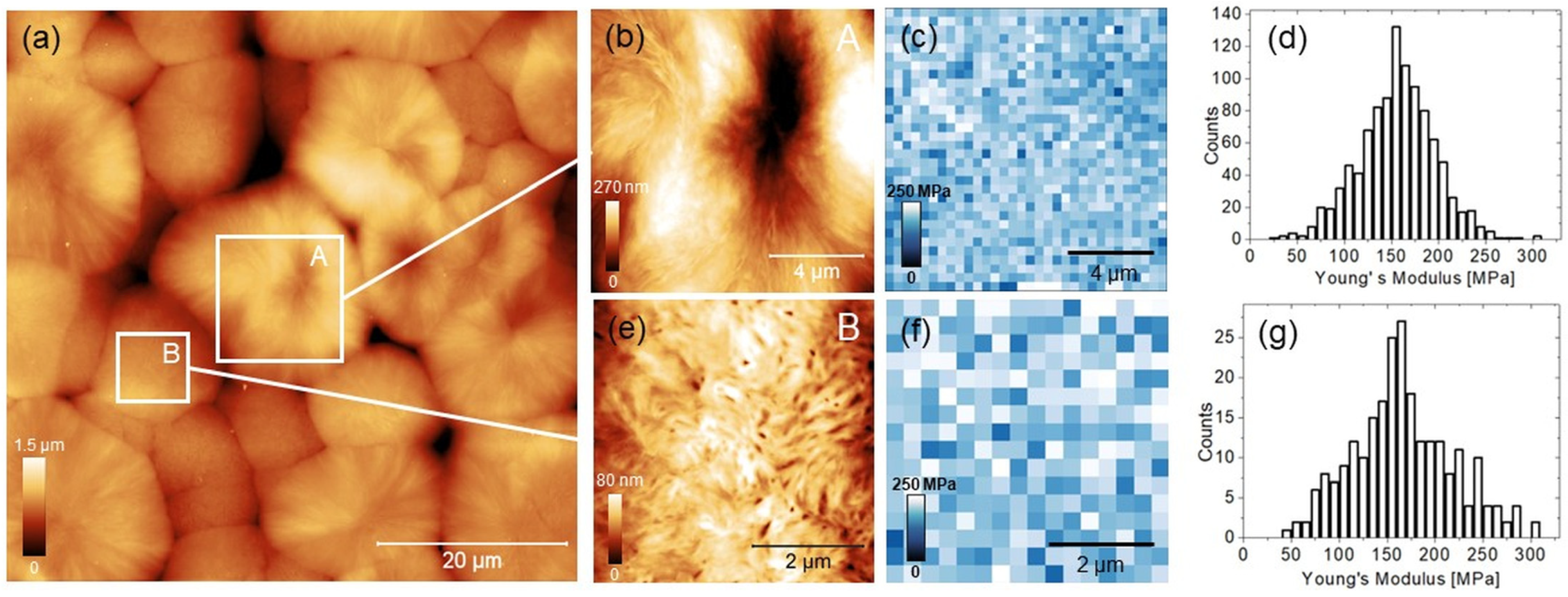 Biomimetics 08 00617 g003