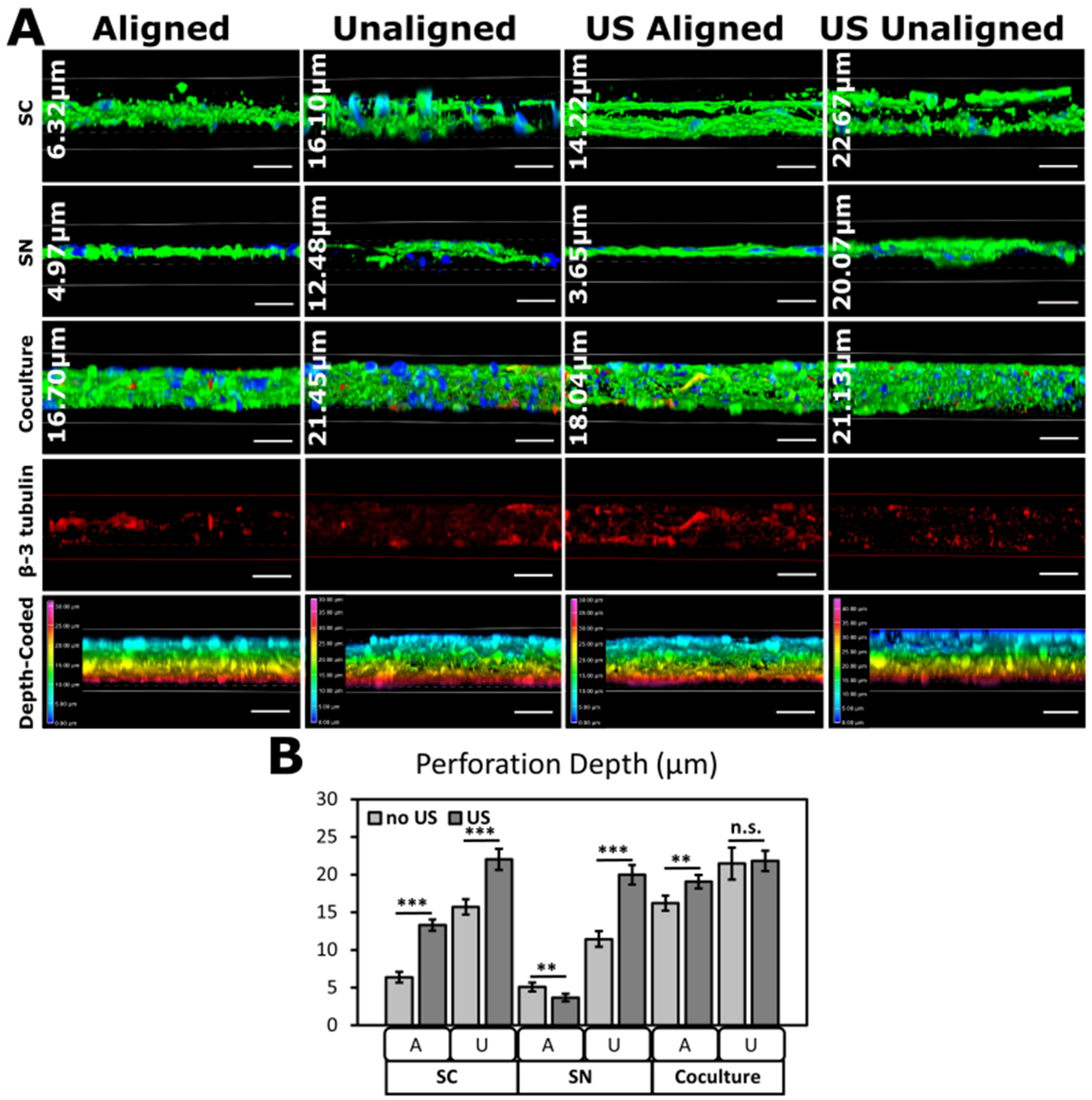 Biomimetics 09 00002 g007