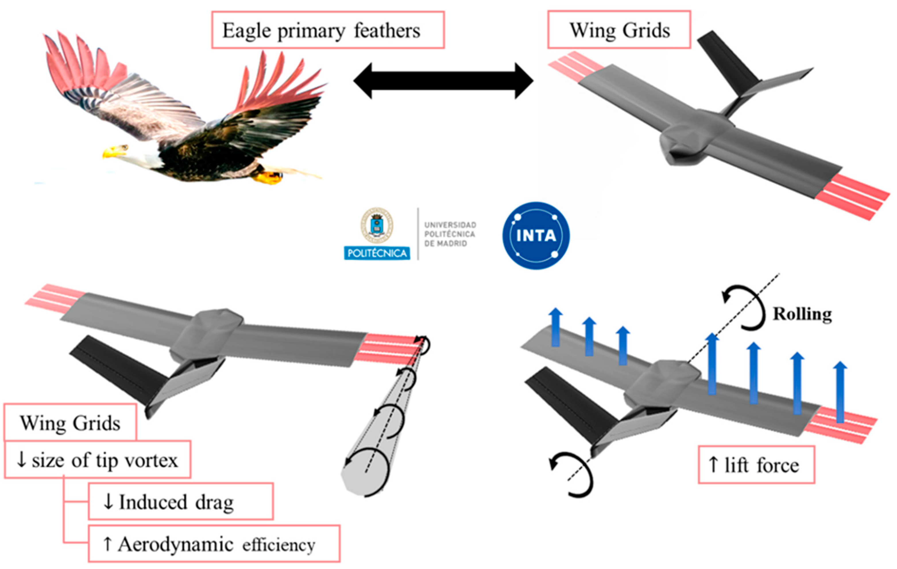 Biomimetics 09 00012 g001