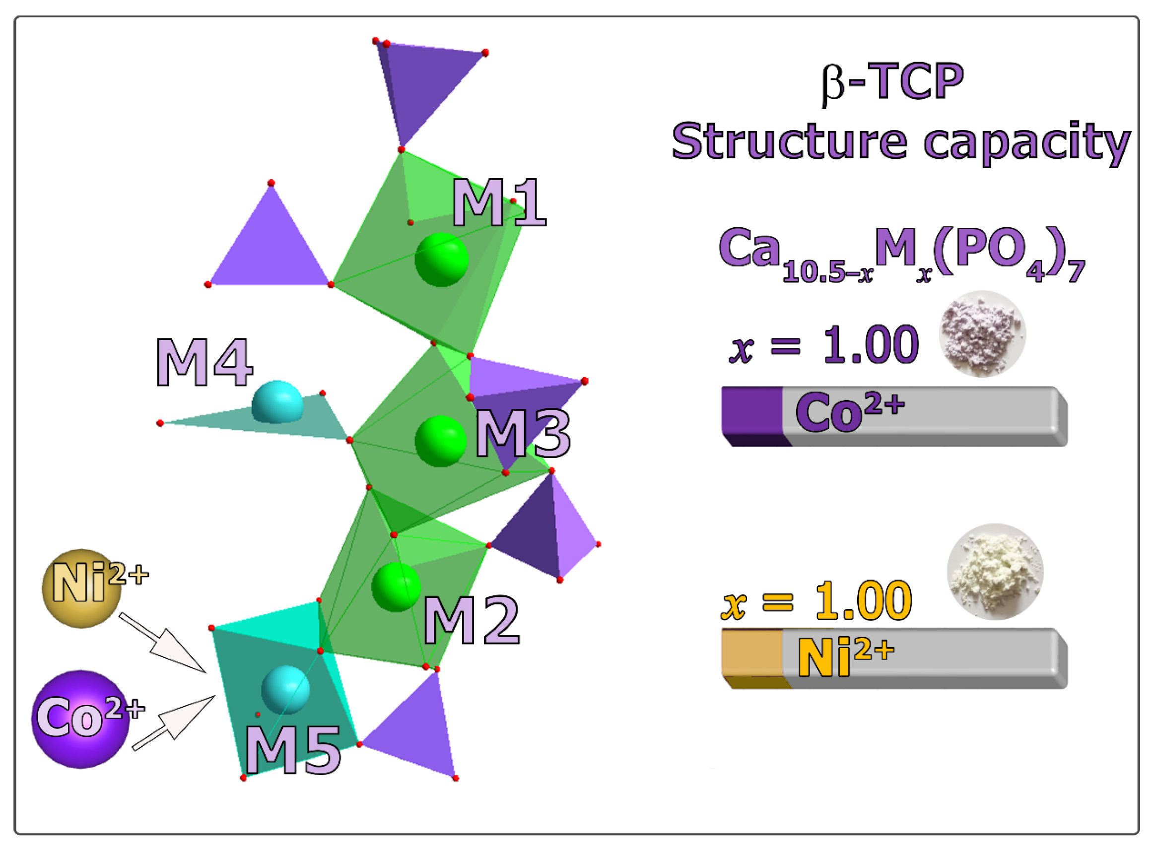 Biomimetics 09 00014 g004