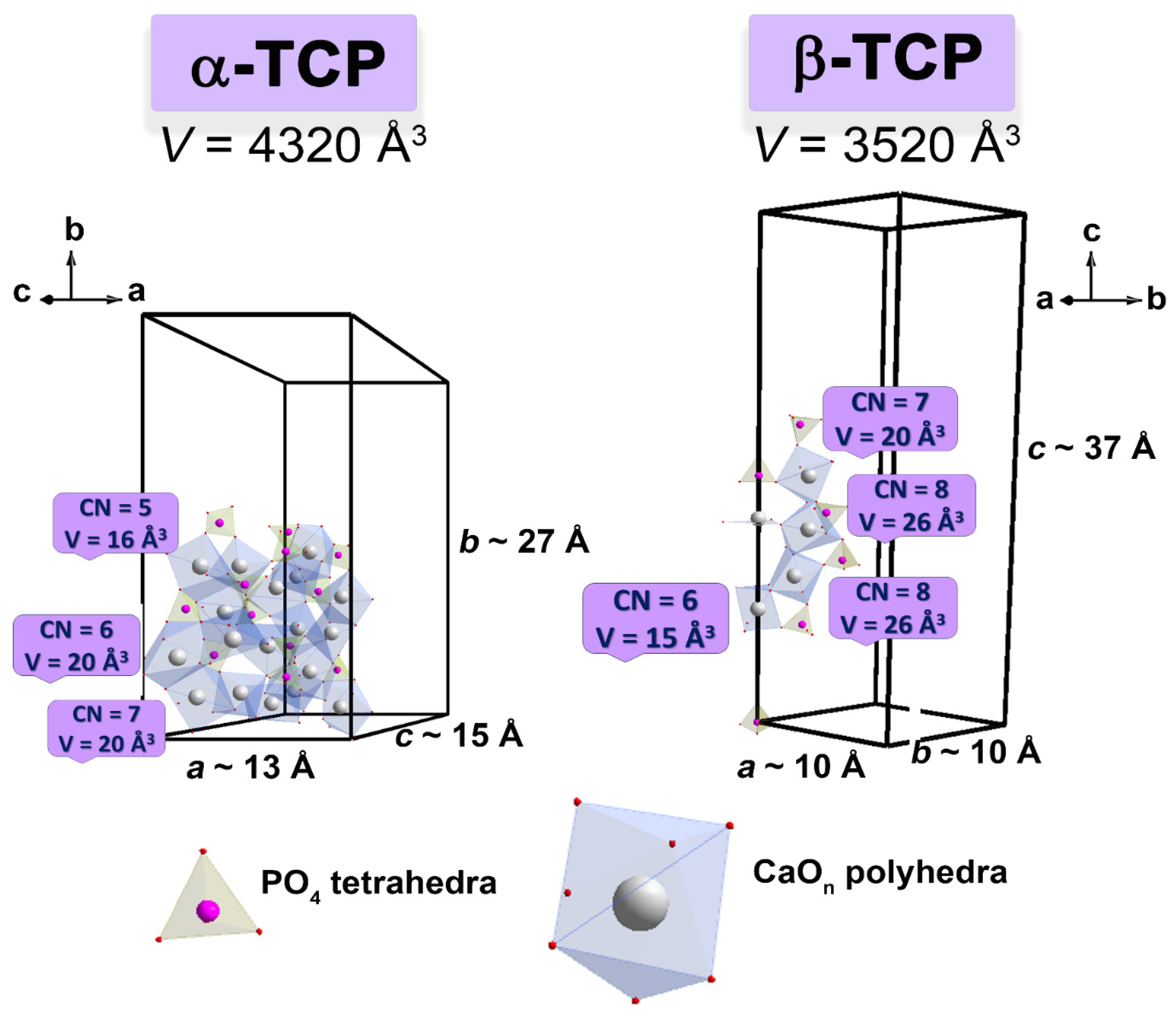 Biomimetics 09 00014 g007