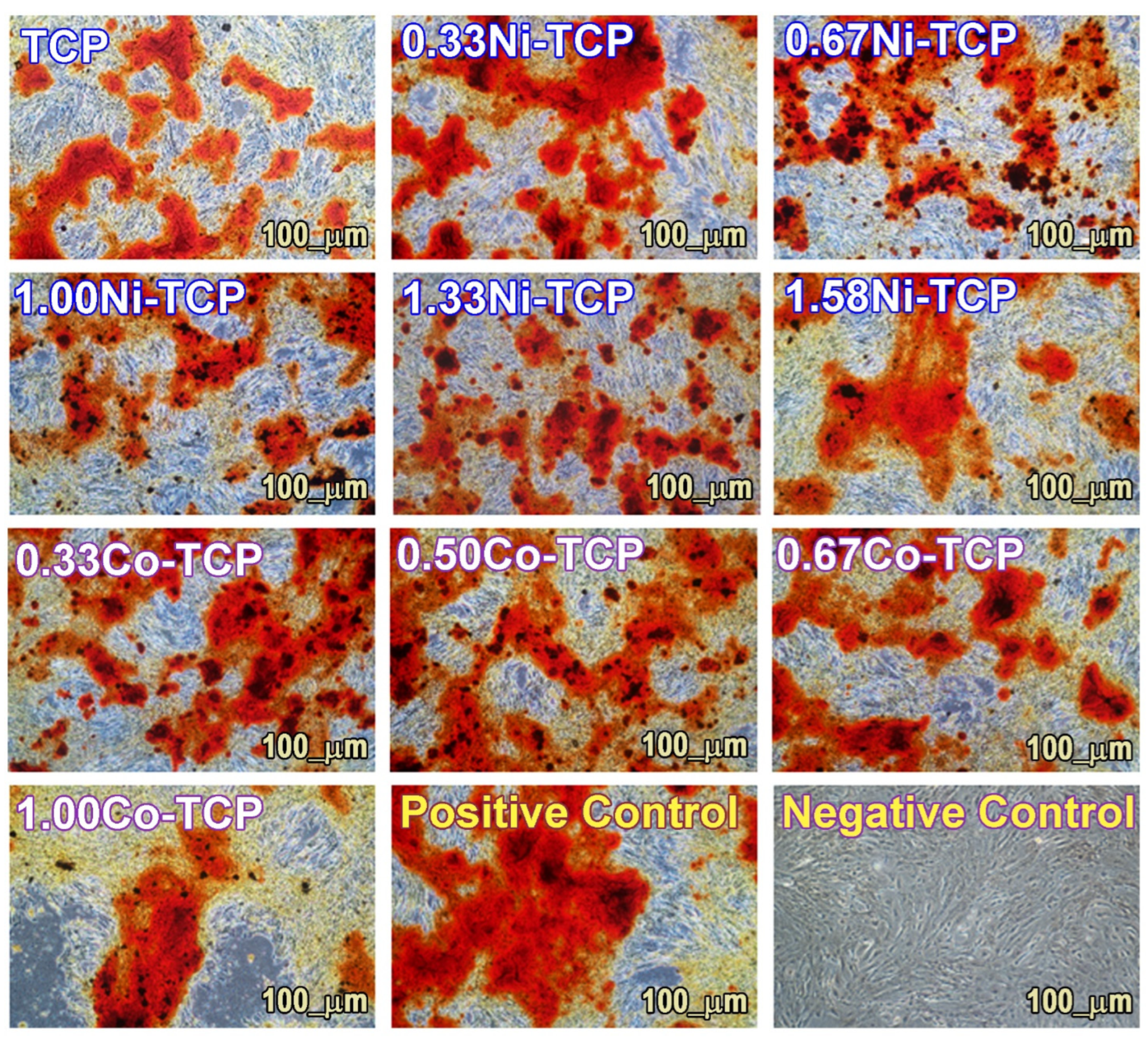 Biomimetics 09 00014 g010