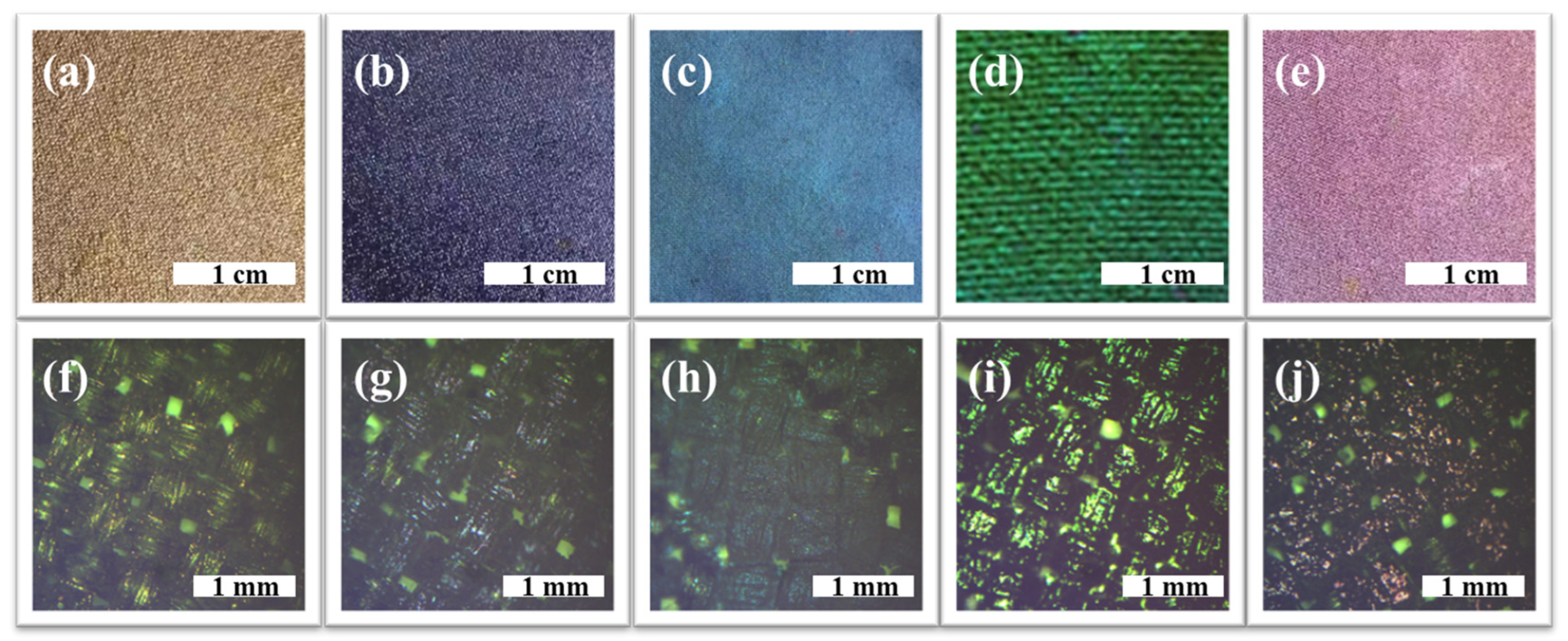 Biomimetics 09 00015 g003