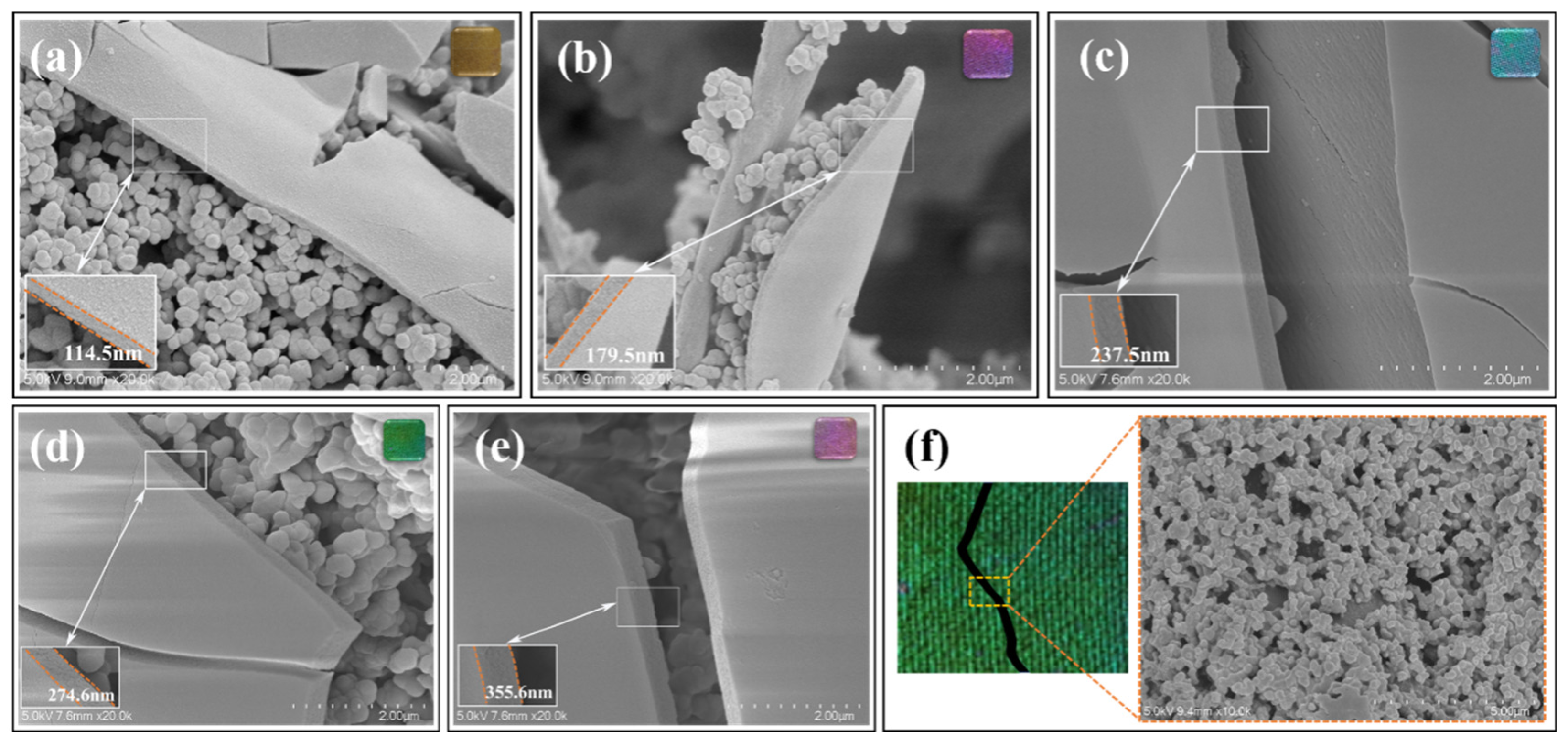 Biomimetics 09 00015 g005