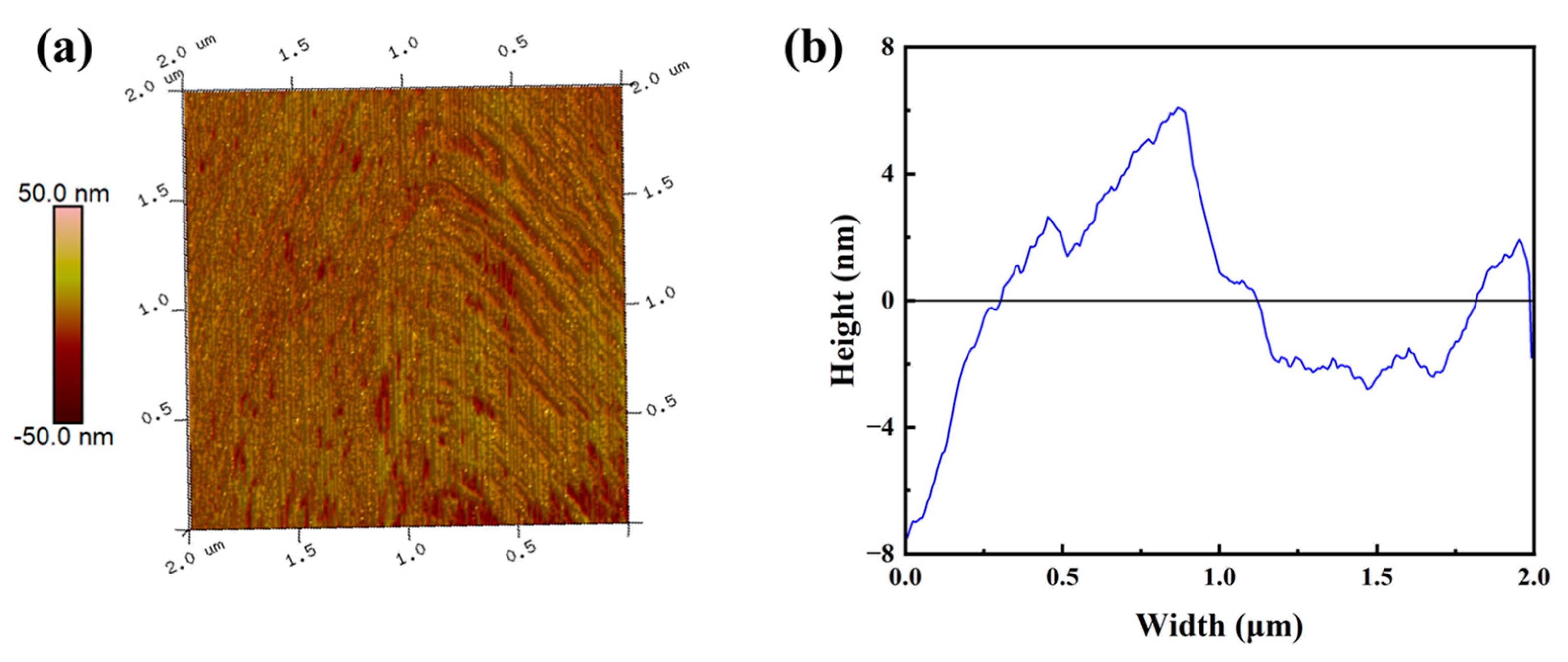 Biomimetics 09 00015 g006
