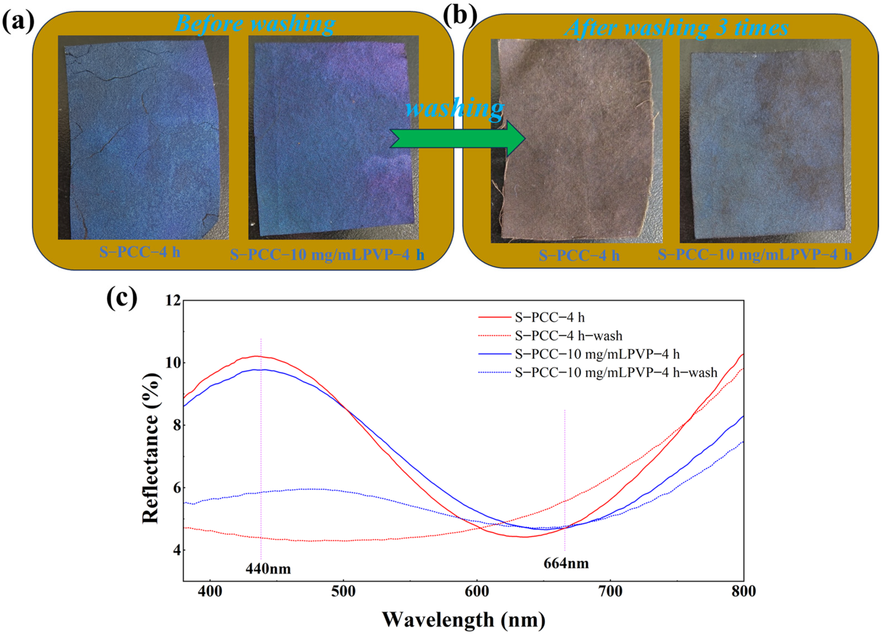 Biomimetics 09 00015 g011