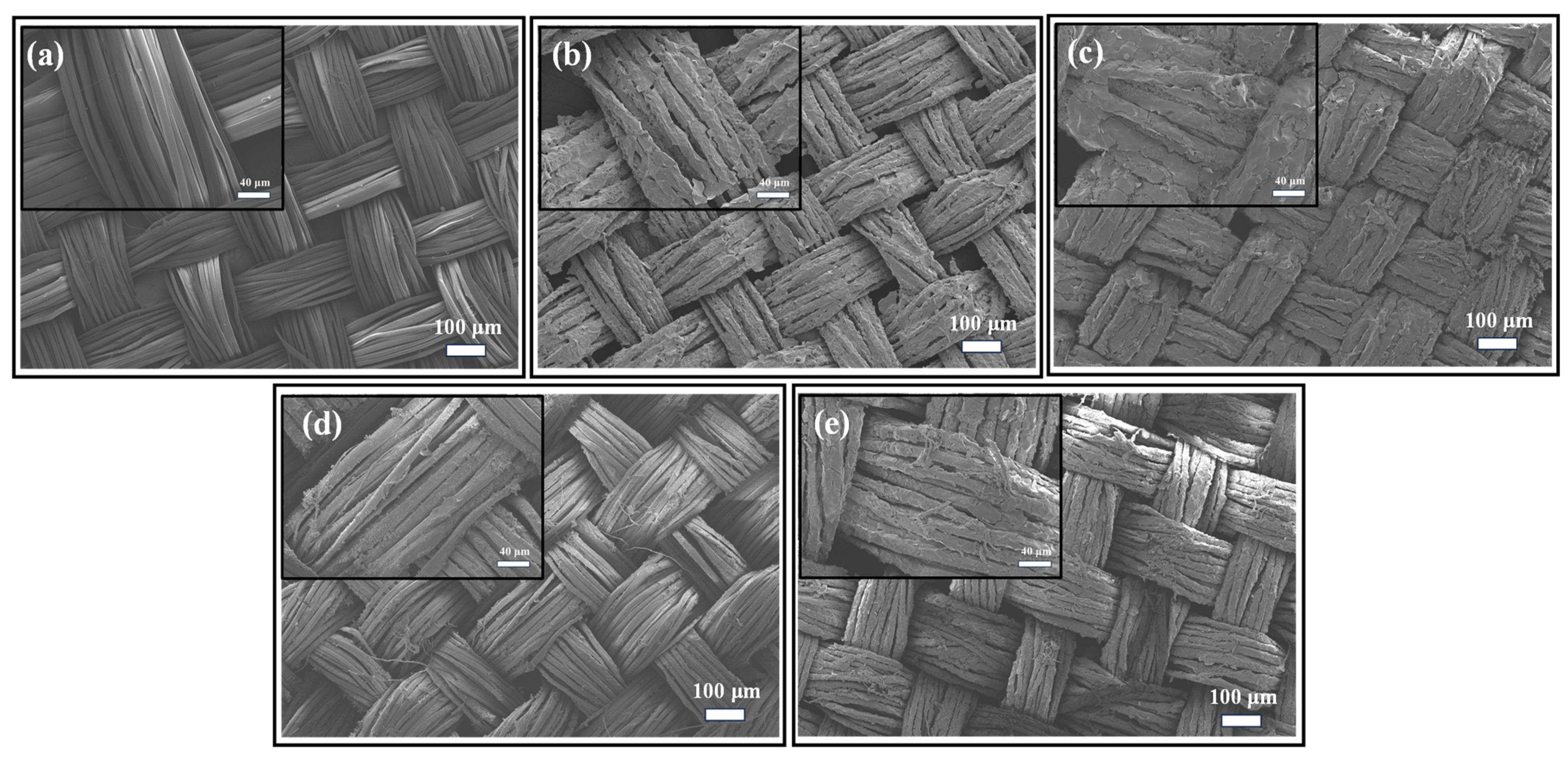 Biomimetics 09 00015 g012