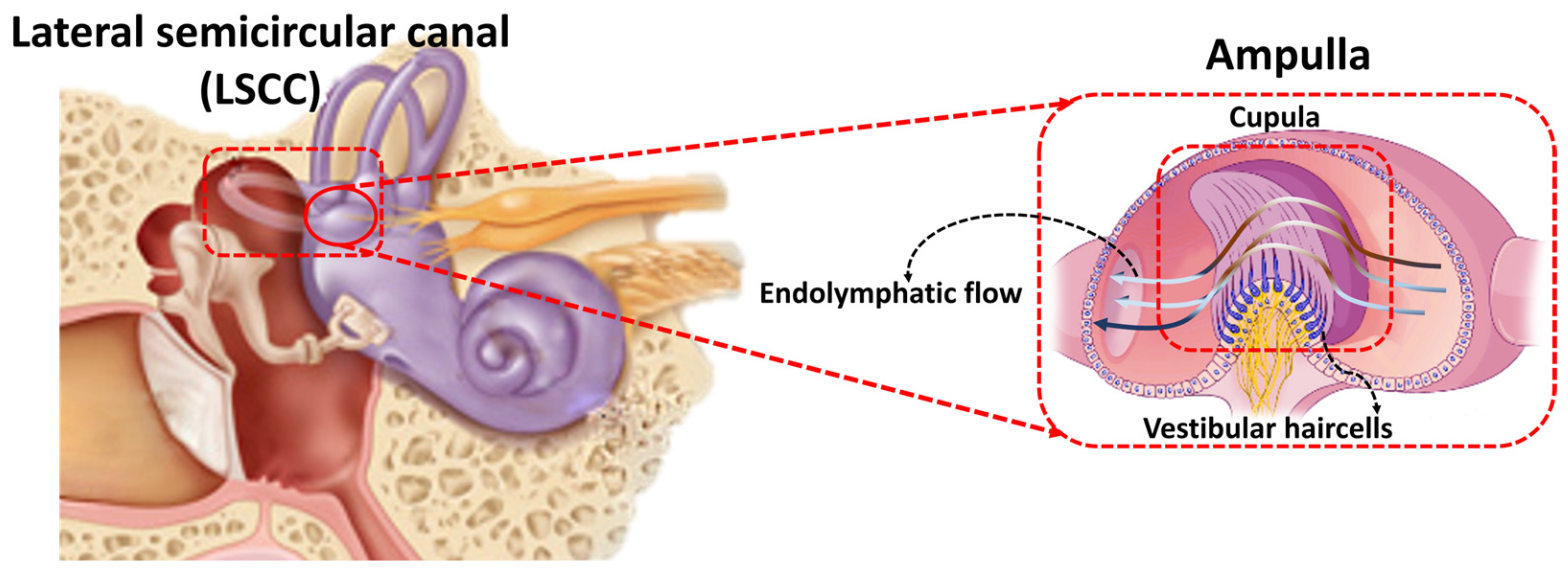 Biomimetics 09 00018 g001