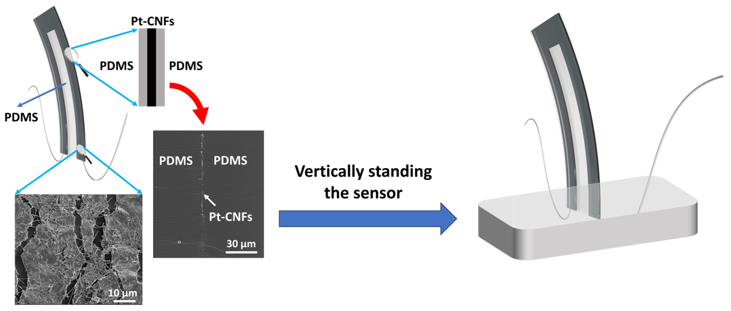 Biomimetics 09 00018 g002