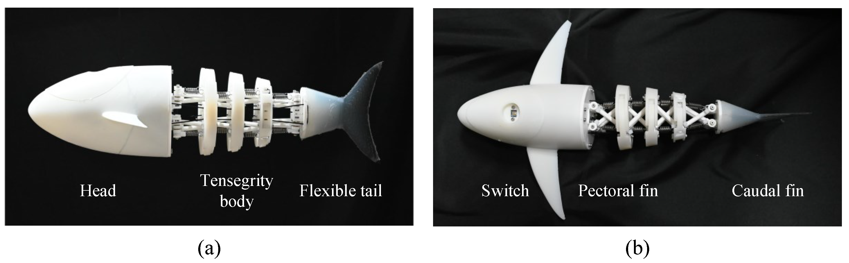 Biomimetics 09 00019 g006