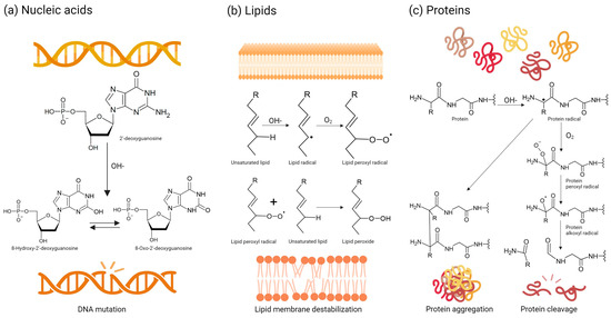 Biomaterials-Based Antioxidant Strategies for the Treatment