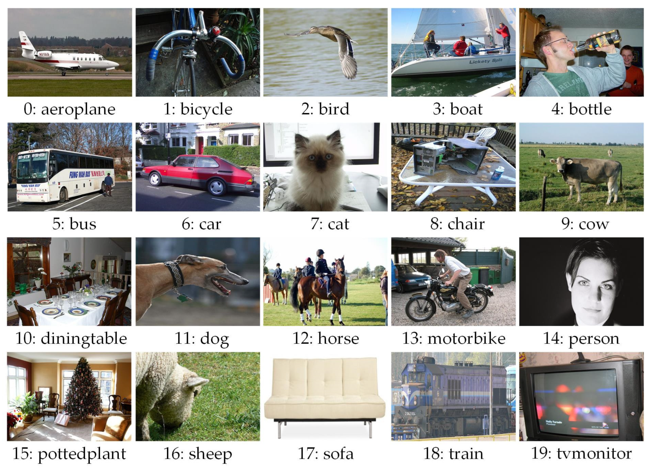 Biomimetics 09 00028 g002