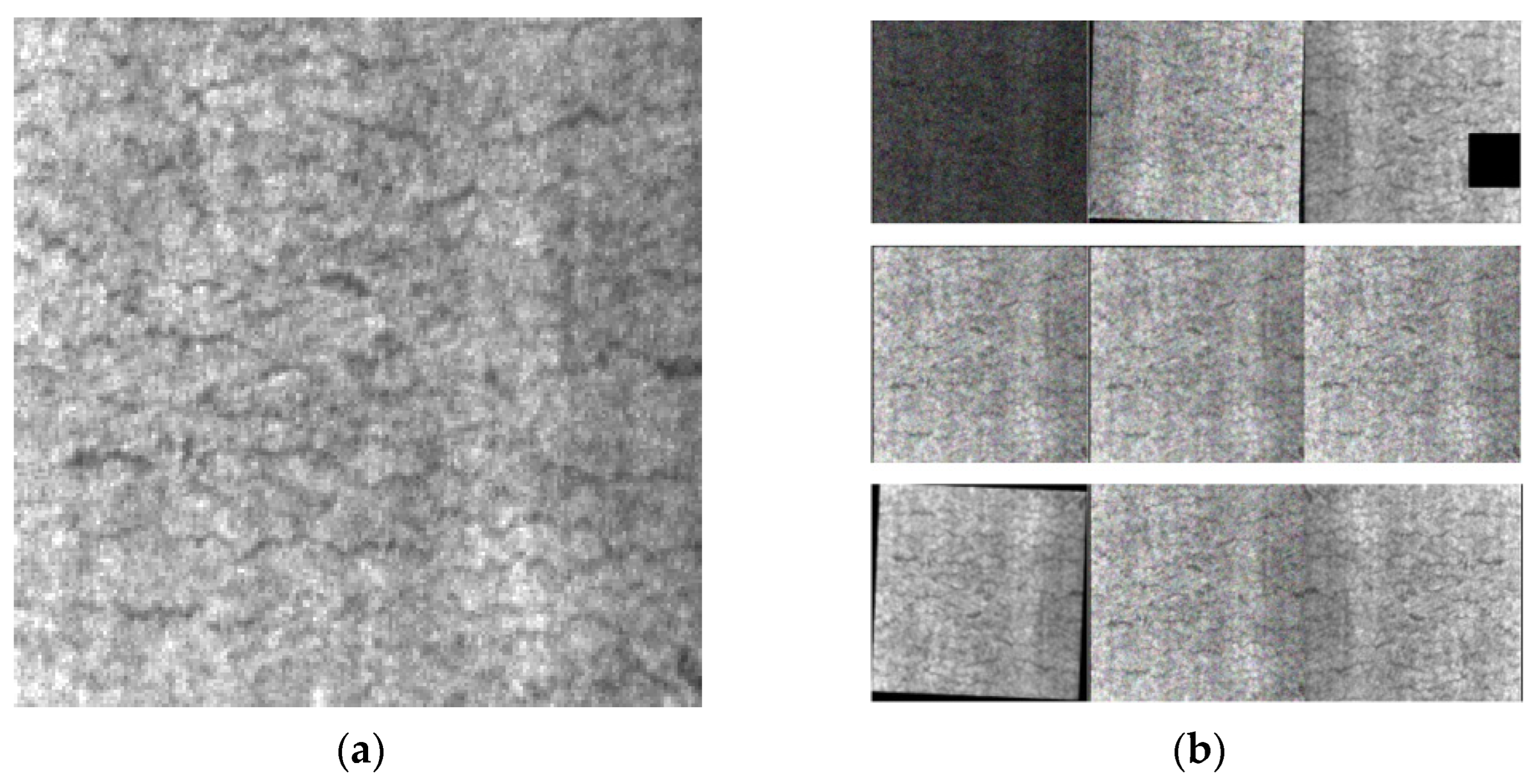 Biomimetics 09 00028 g009